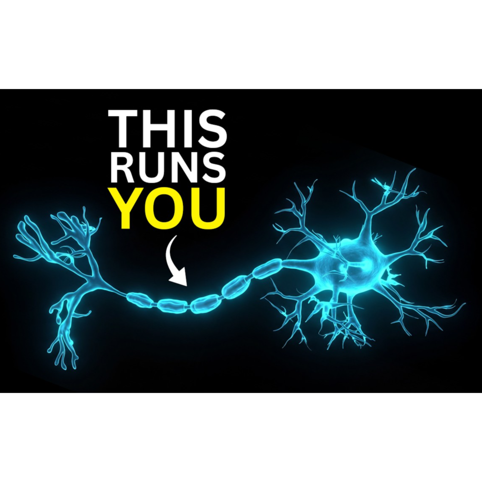 How Your Nervous System Quietly Runs Your Entire Life - The Sleepy Scientist episode artwork