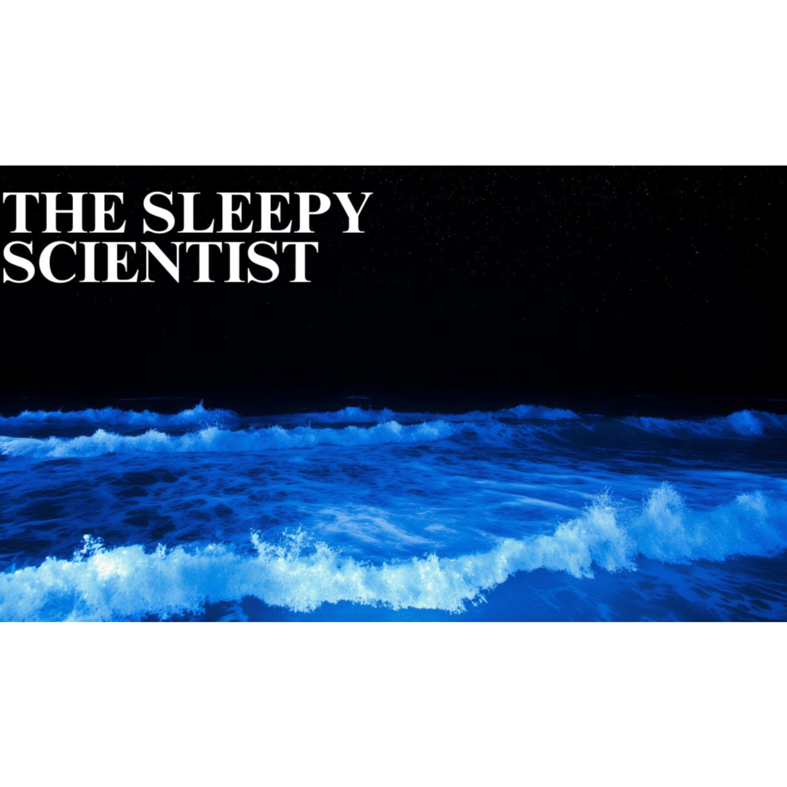 The Secret Life of the Sea  The Sleepy Scientist - The Sleepy Scientist episode artwork