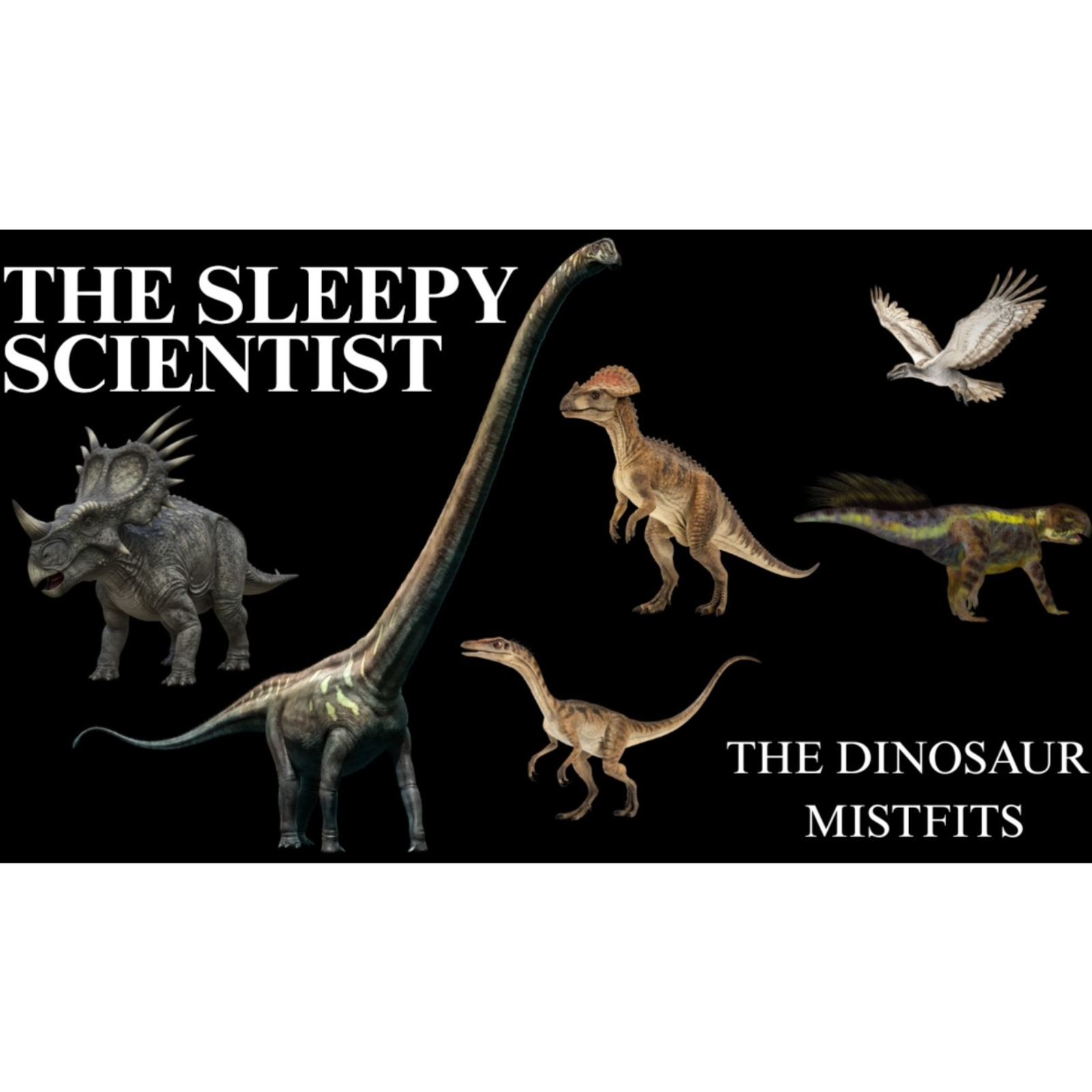 The Weirdest Dinosaurs That Ever Lived _ The Sleepy Scientist episode artwork