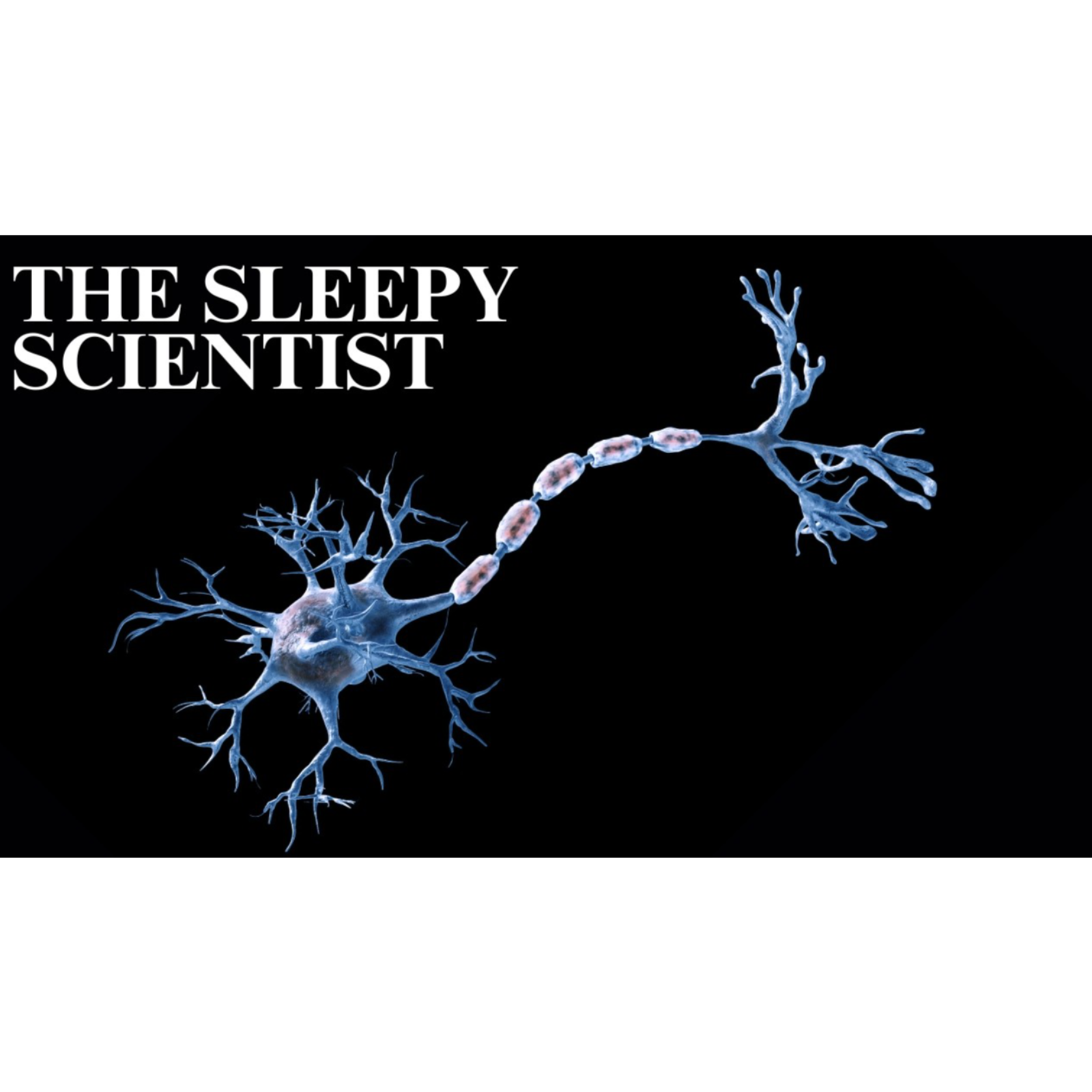 The Sleepy Scientist _ The Quiet Nervous System episode artwork