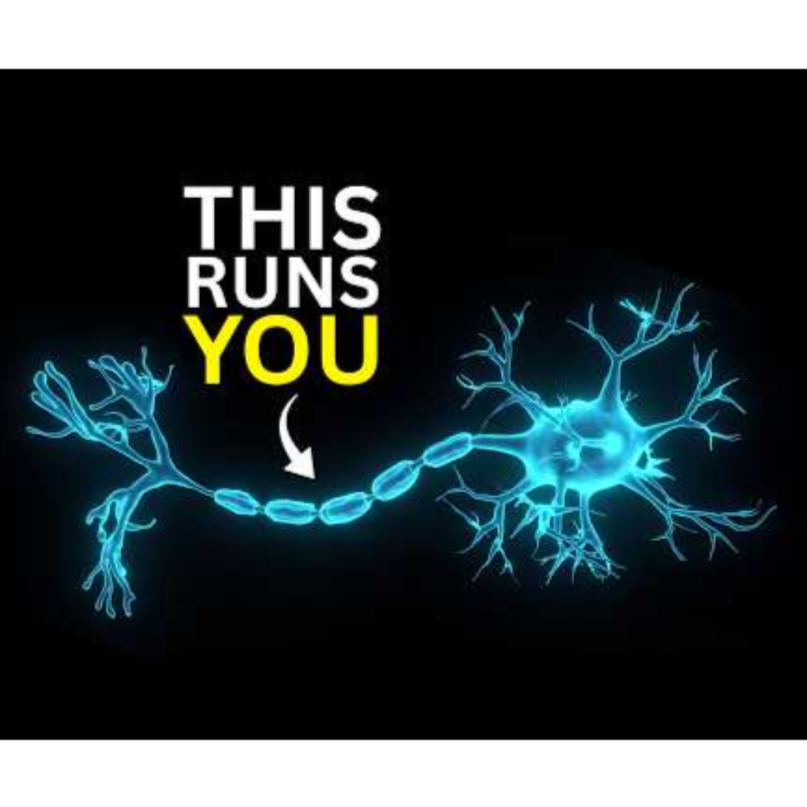 How Your Nervous System Quietly Runs Your Entire Life episode artwork