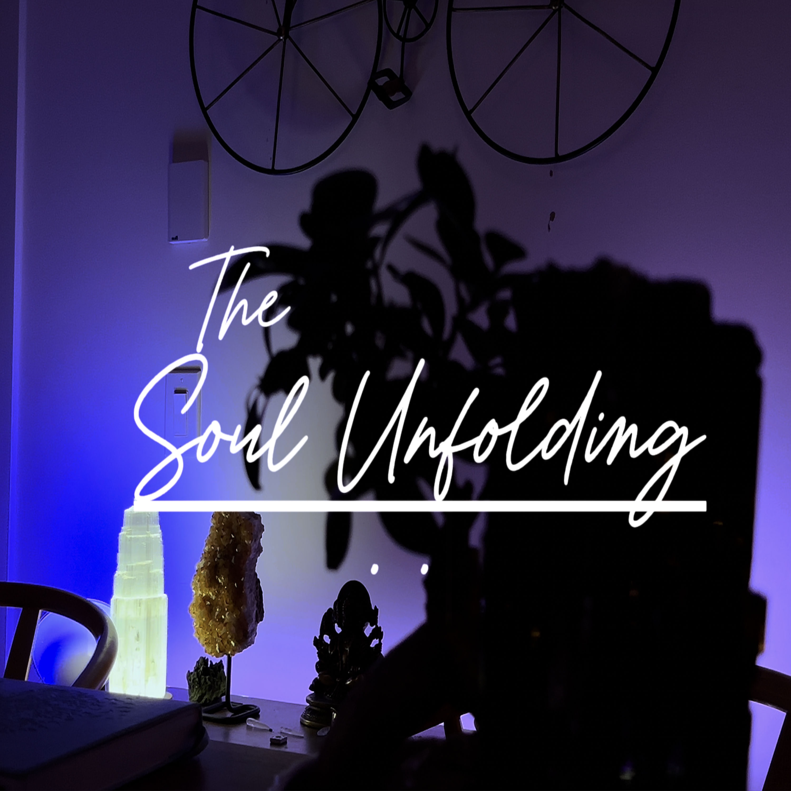 The Soul Unfolding with Rahul Arora