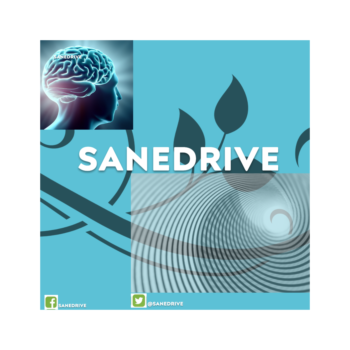 Sanity Drive Podcast