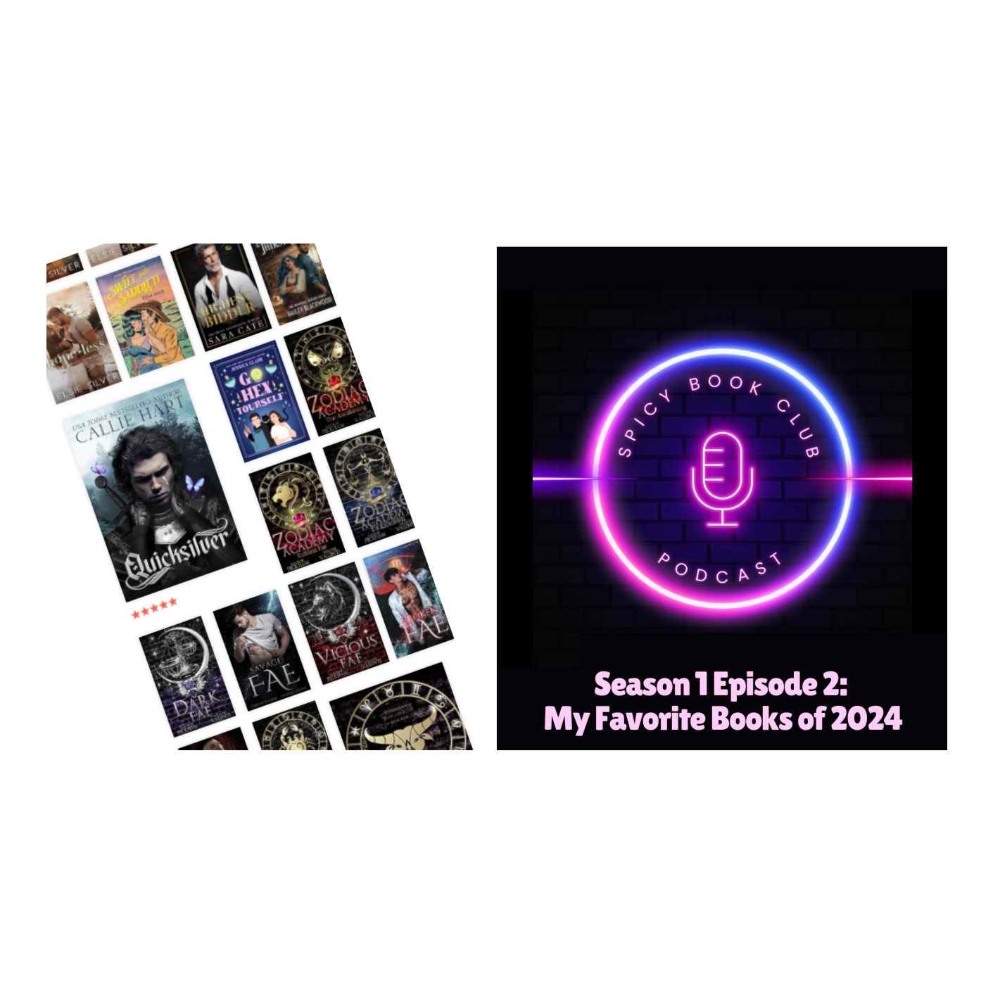 E2: My favorite books of 2024 episode artwork