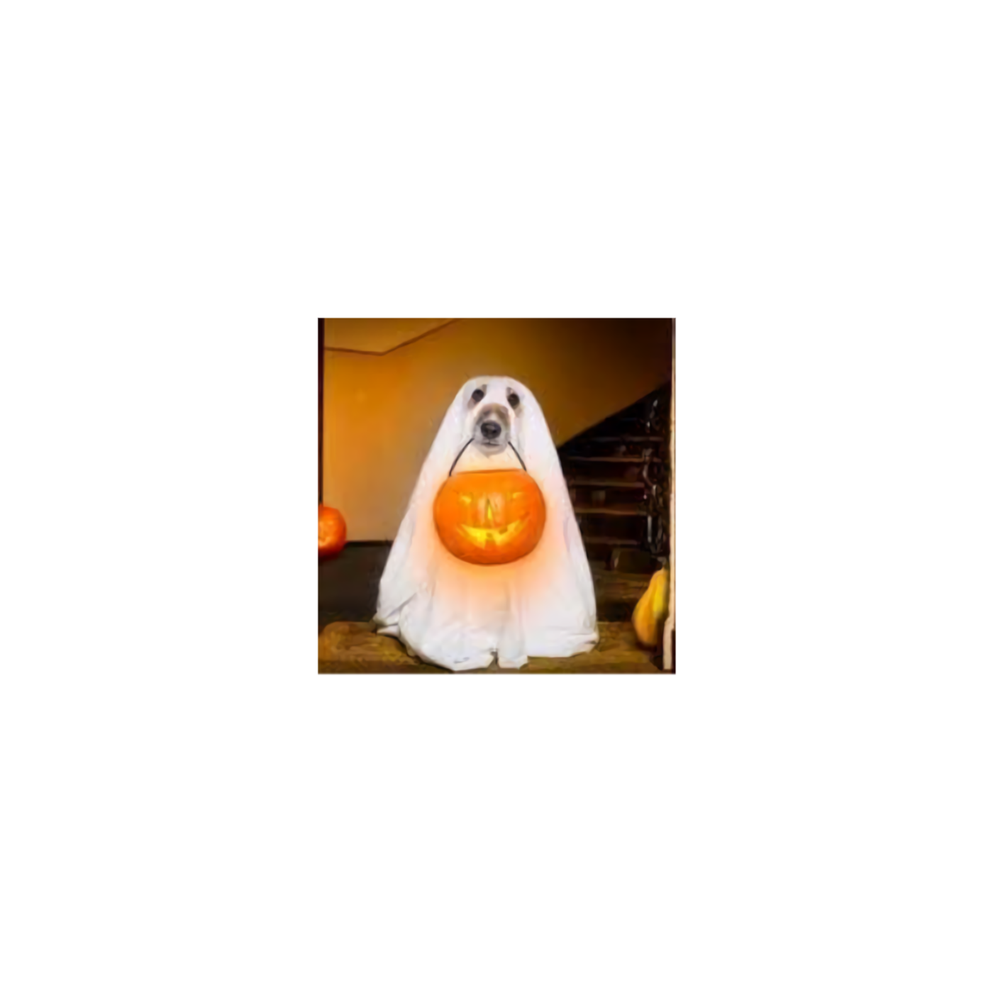 The spoopy show 