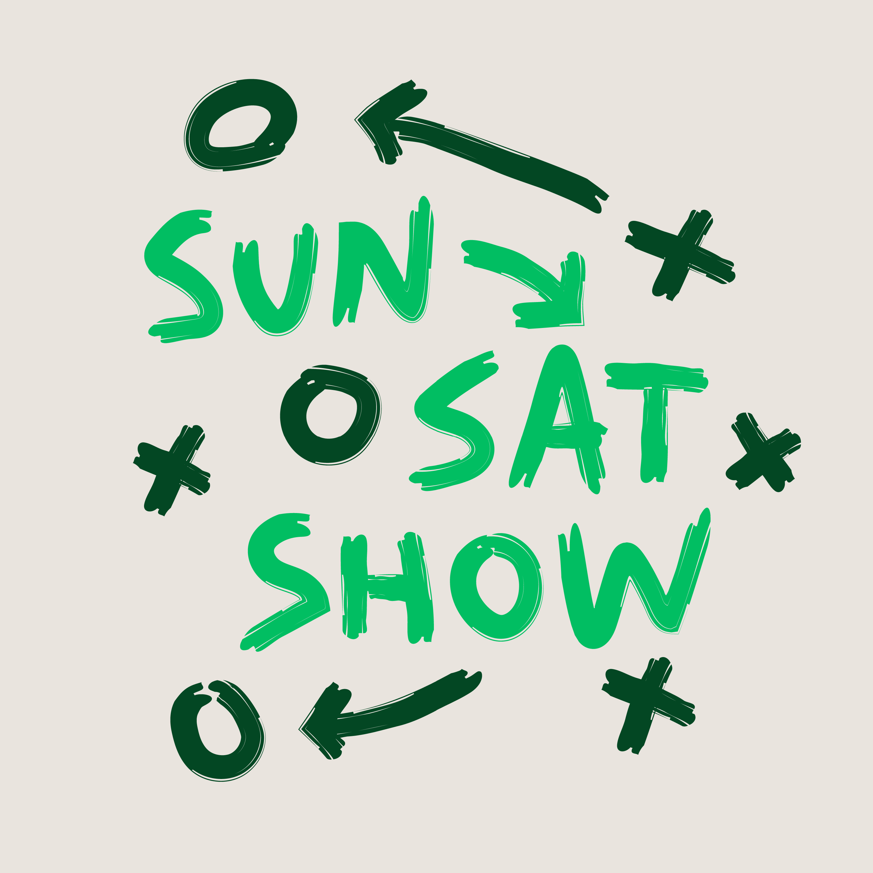 The Sunday To Saturday Show