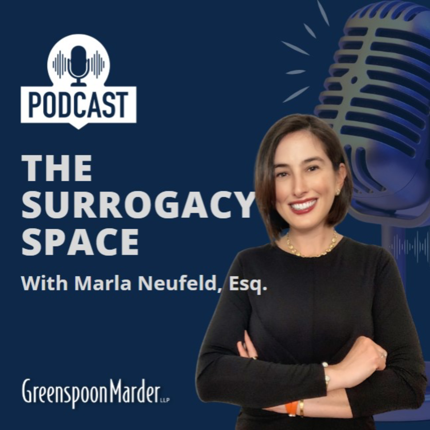 The Surrogacy Space