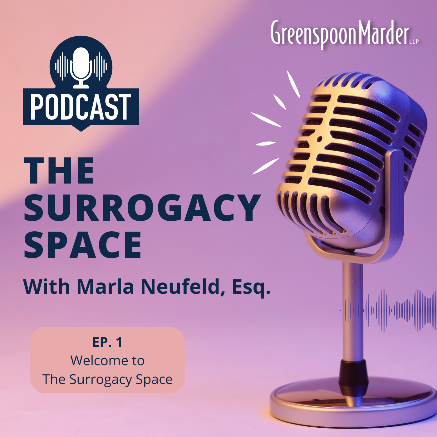 The Surrogacy Space