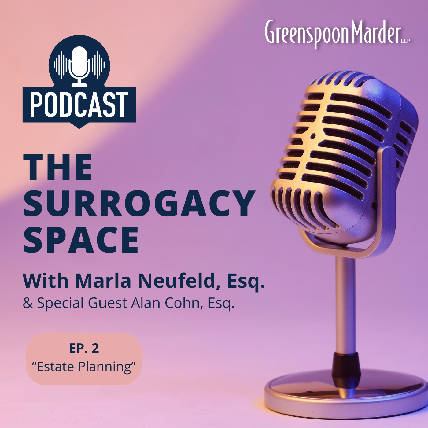 The Surrogacy Space