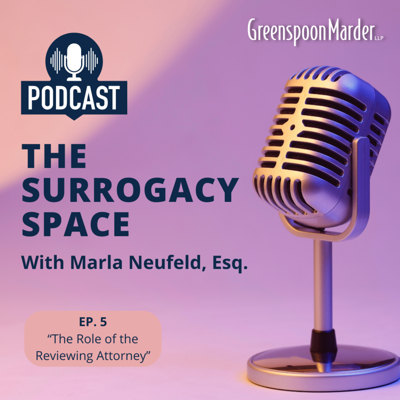 The Surrogacy Space