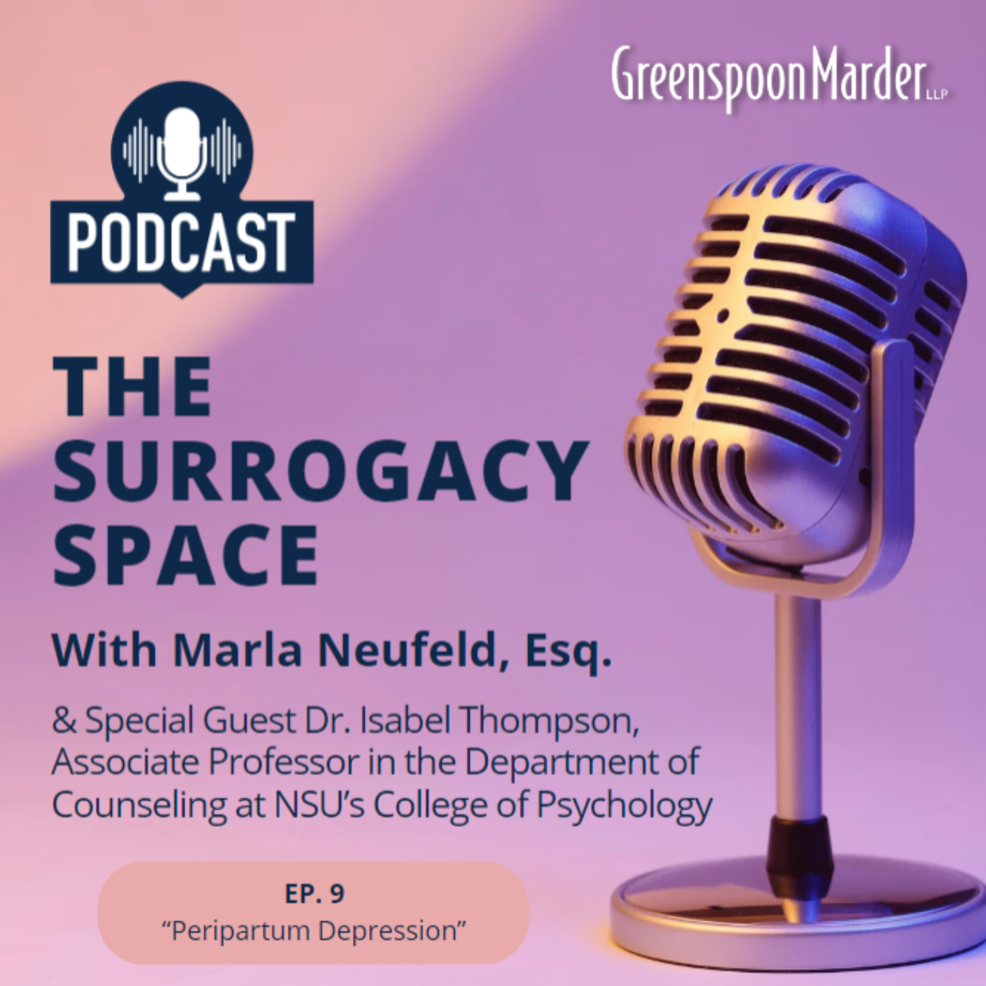 The Surrogacy Space
