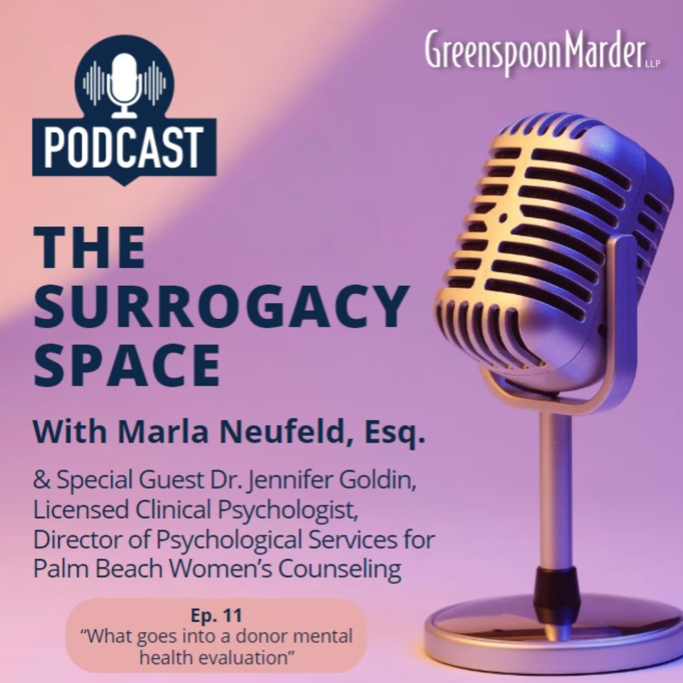The Surrogacy Space