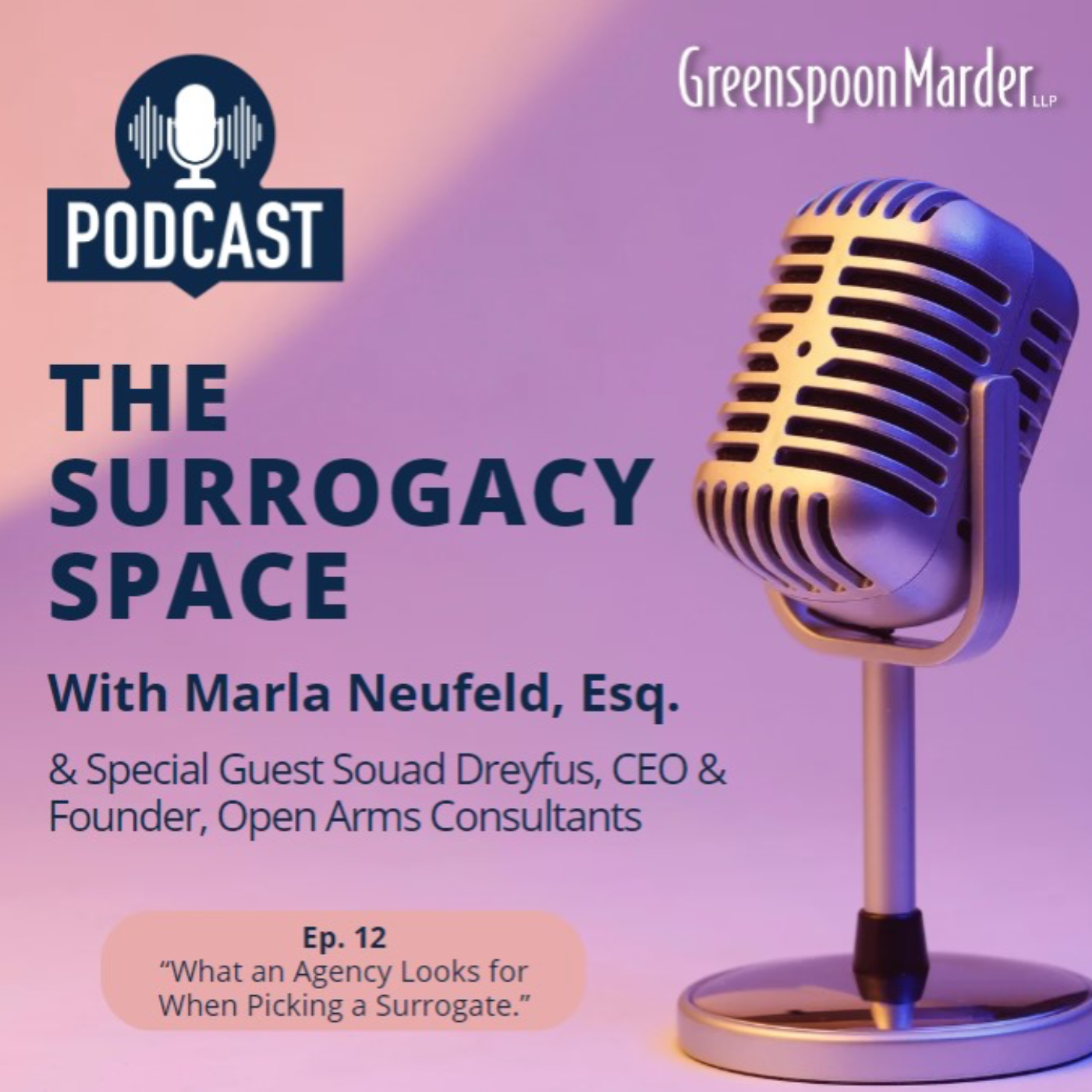 The Surrogacy Space
