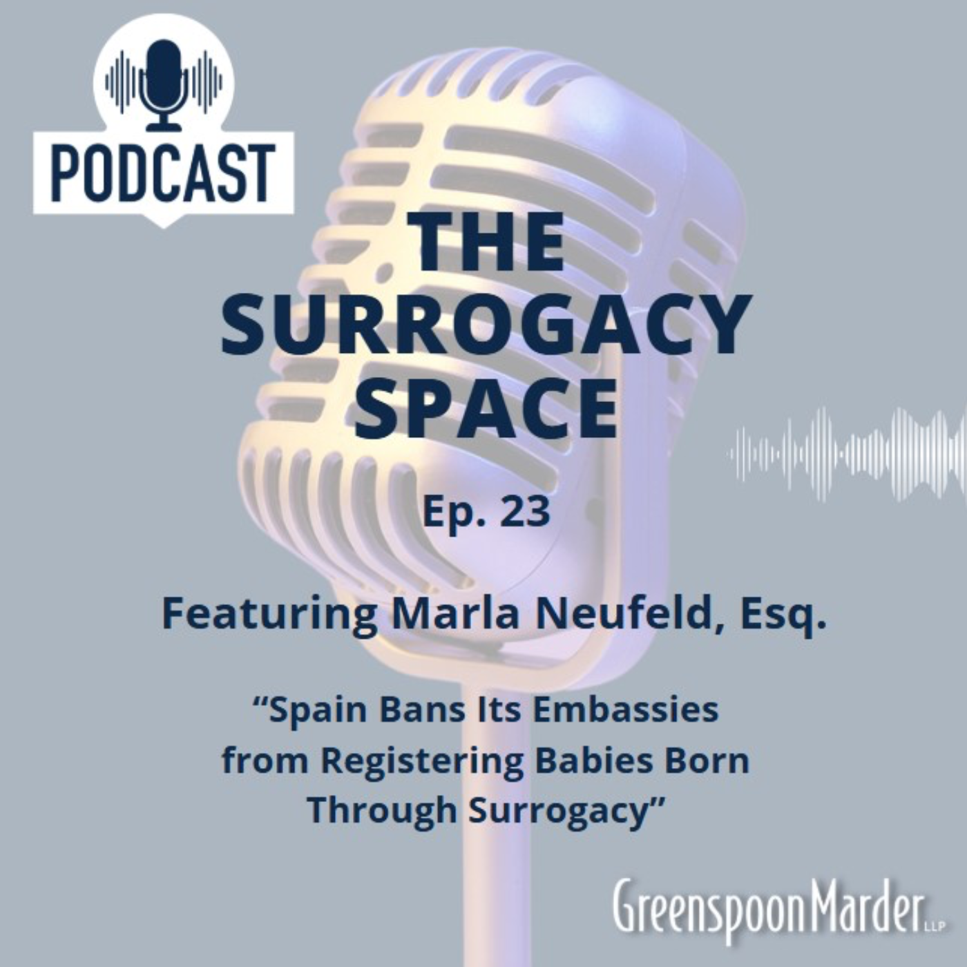 The Surrogacy Space