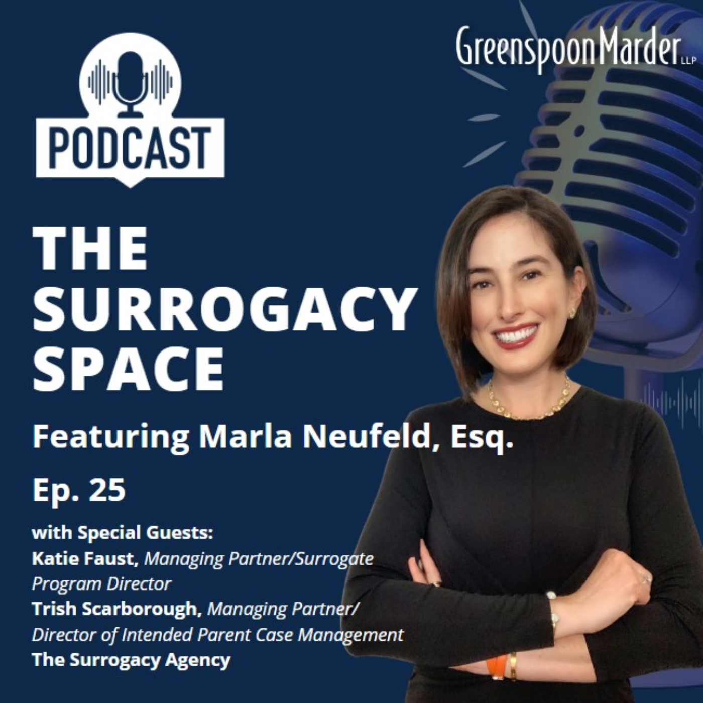 The Surrogacy Space