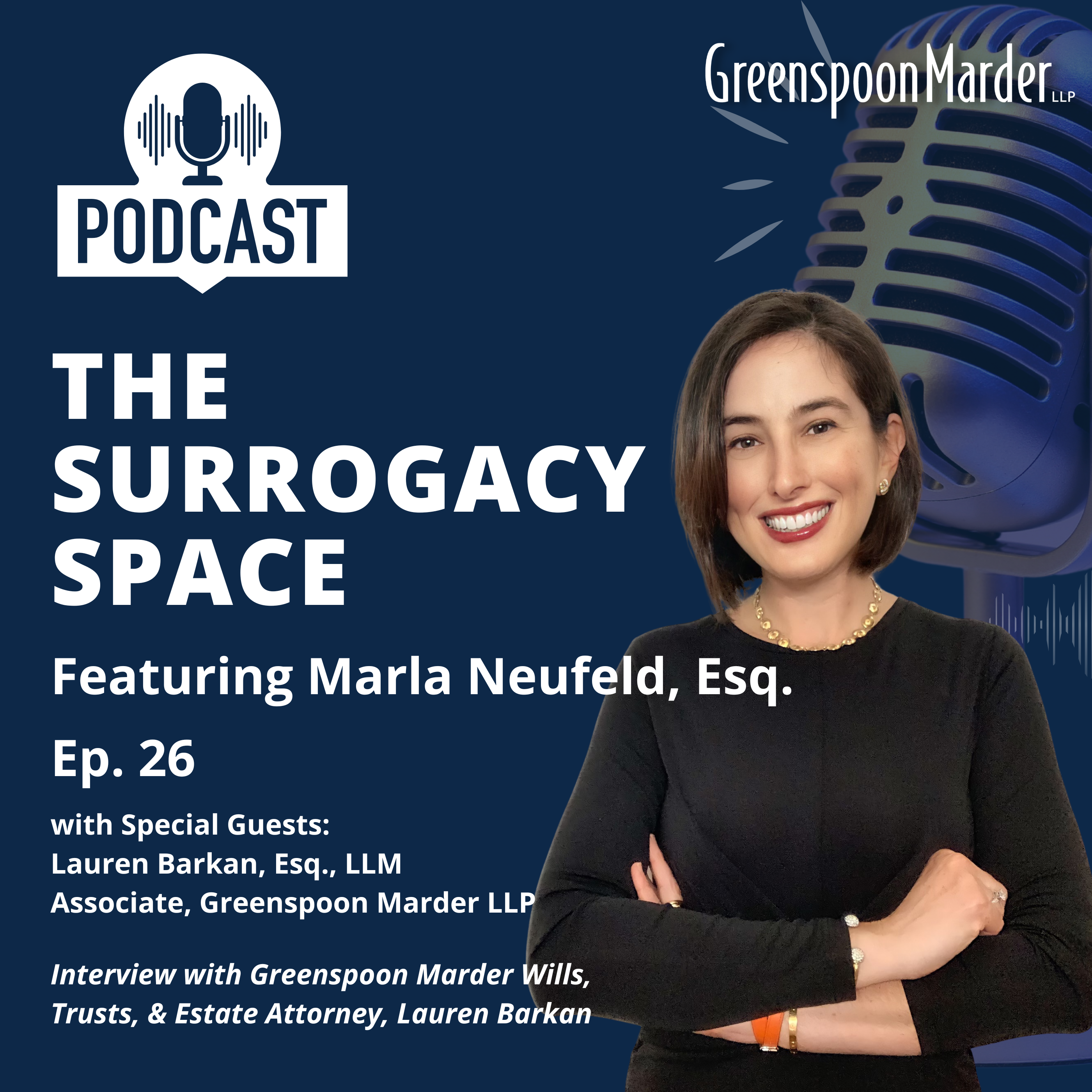 The Surrogacy Space