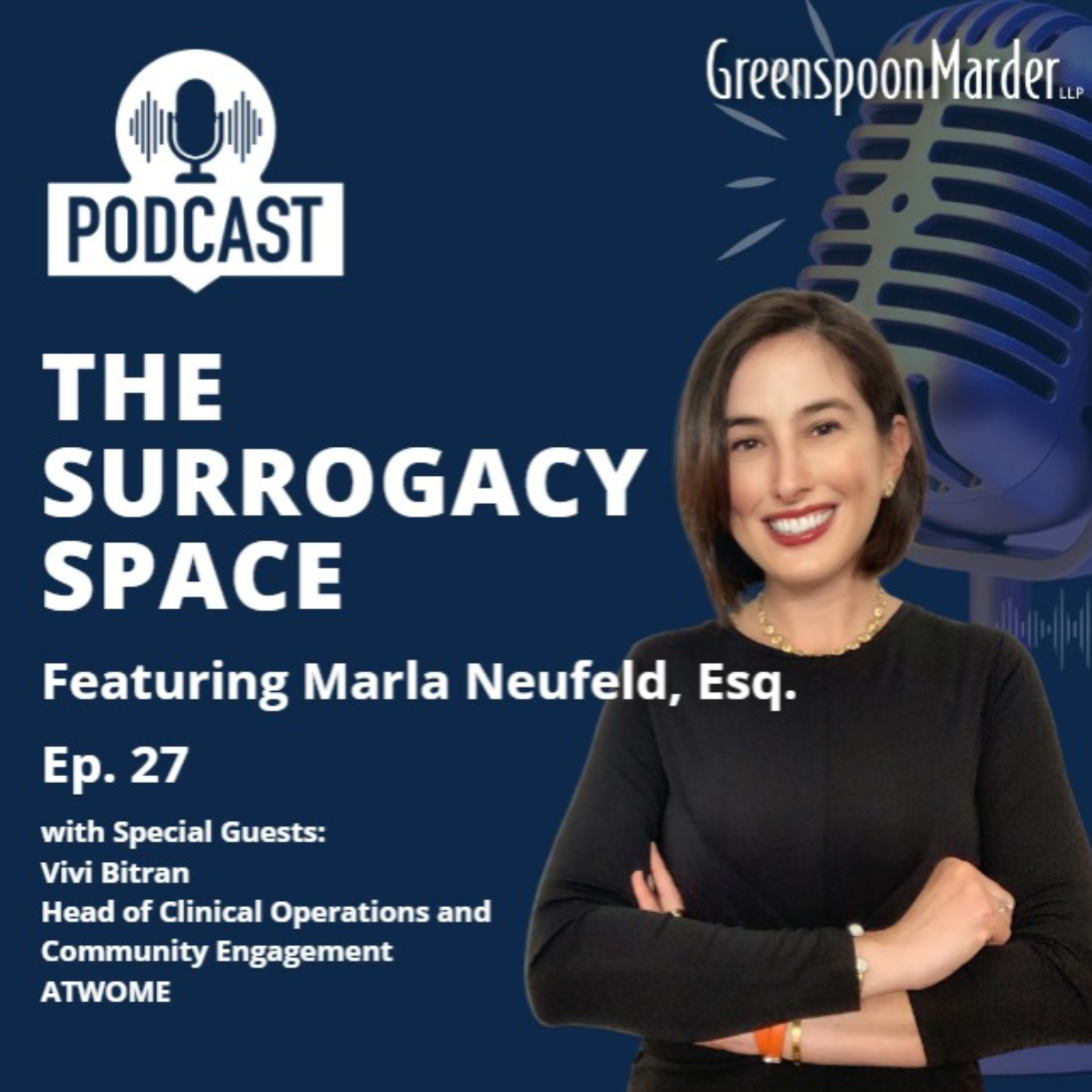 The Surrogacy Space