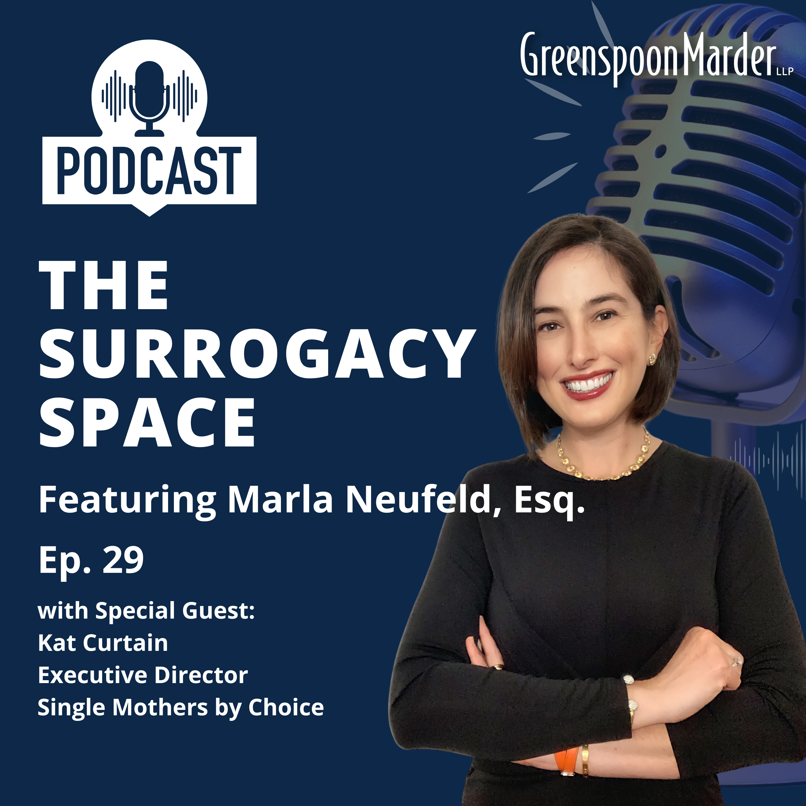 The Surrogacy Space