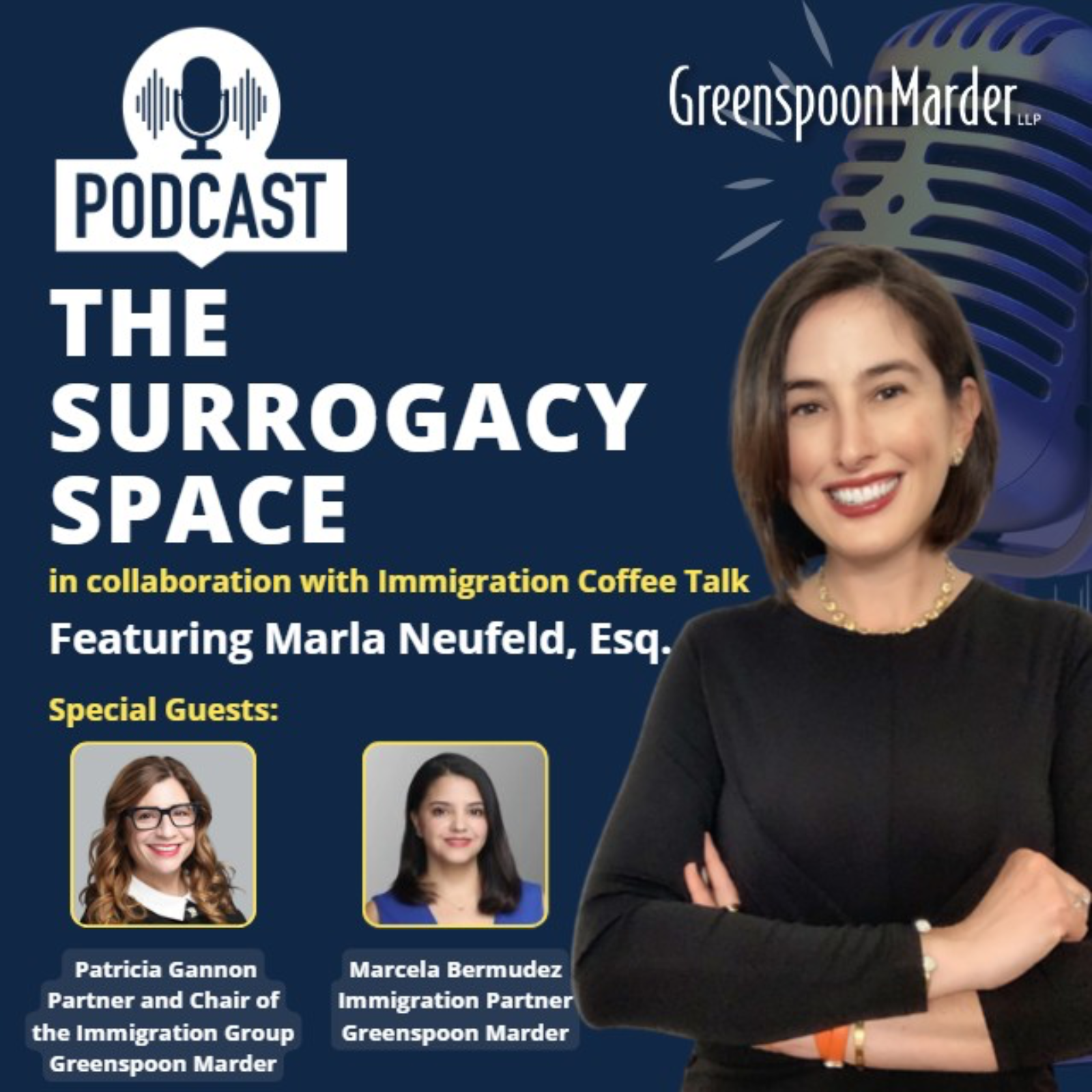 The Surrogacy Space
