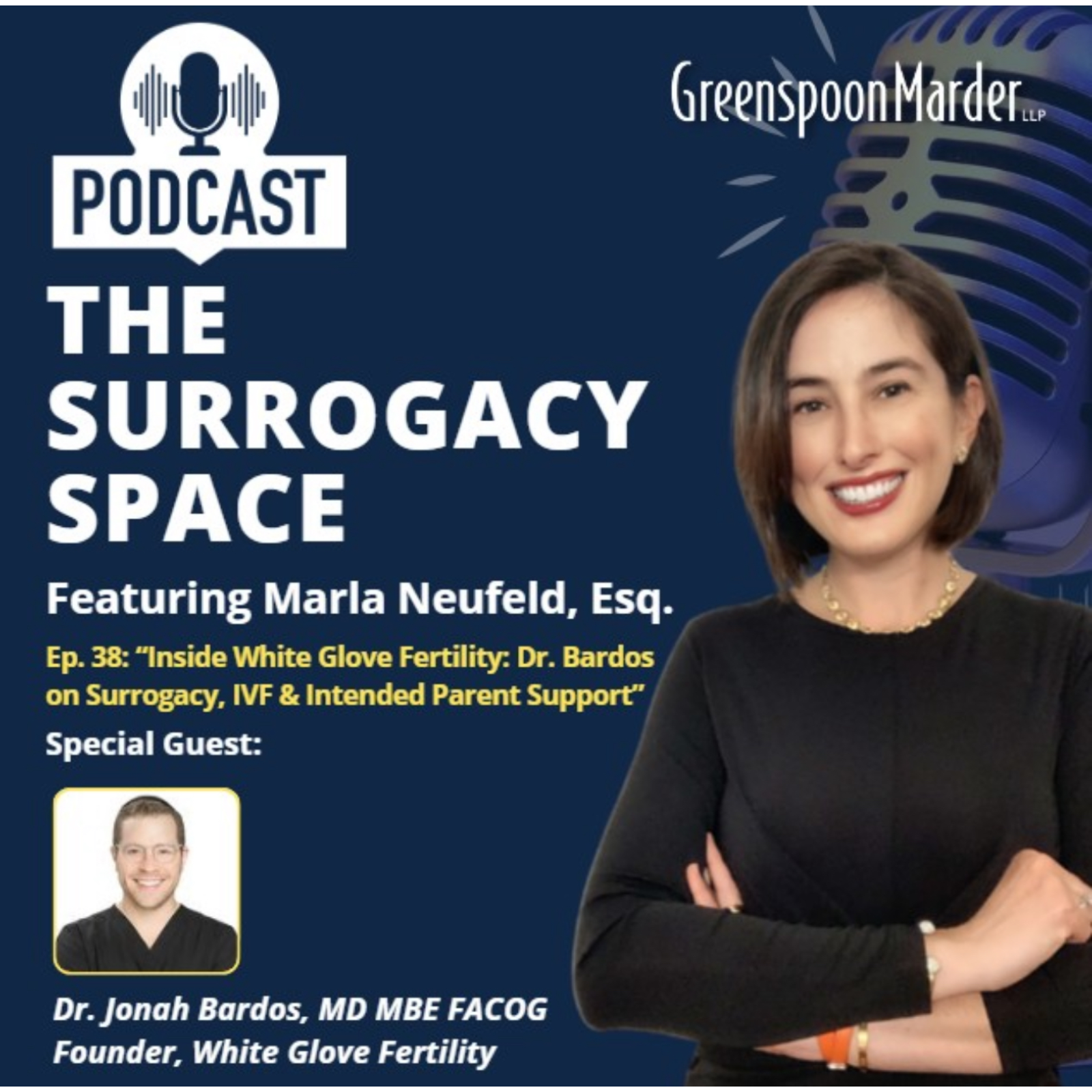 The Surrogacy Space