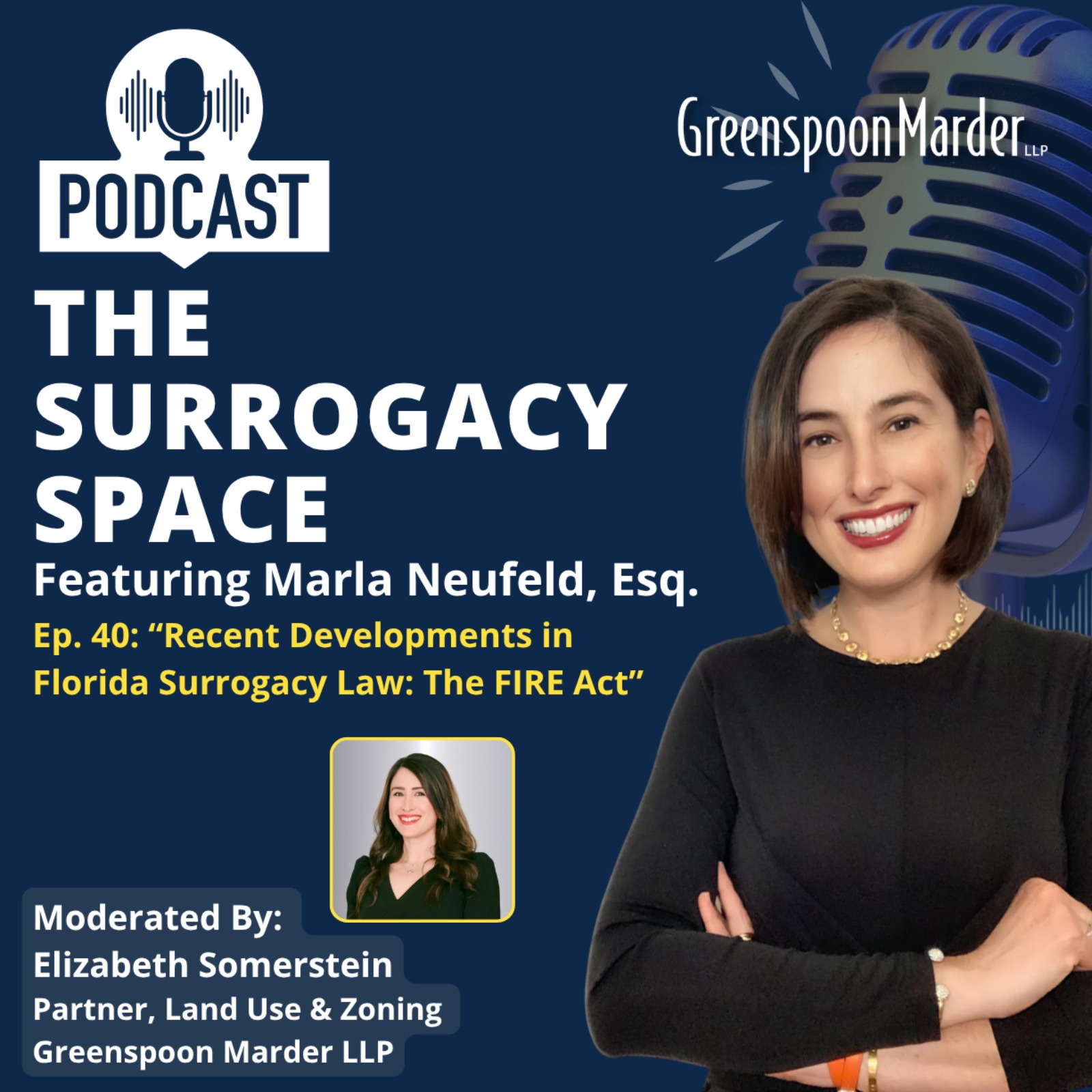 The Surrogacy Space, Ep. 40: “Recent Developments in Florida Surrogacy Law: The FIRE Act”