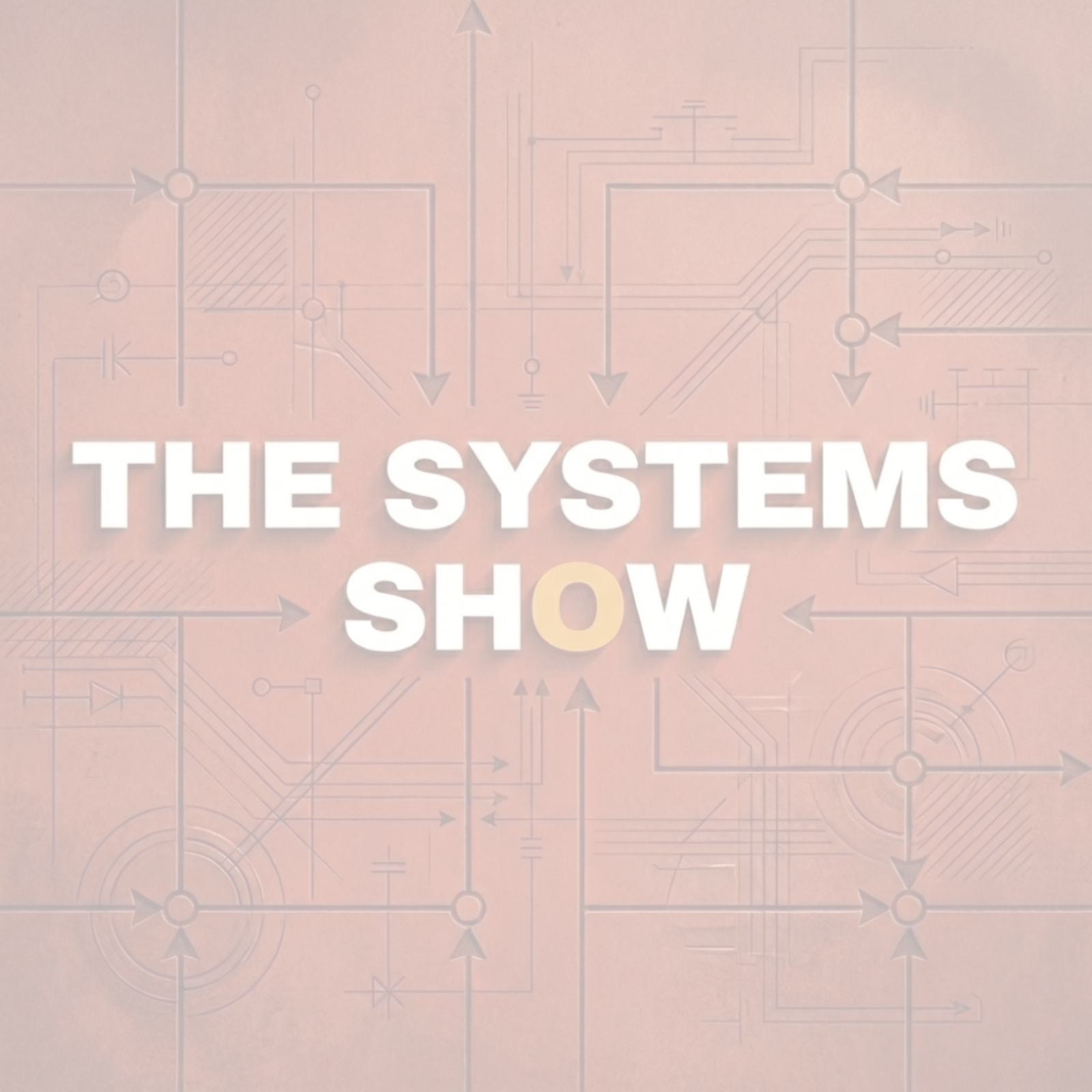 The Systems Show The Systems Show