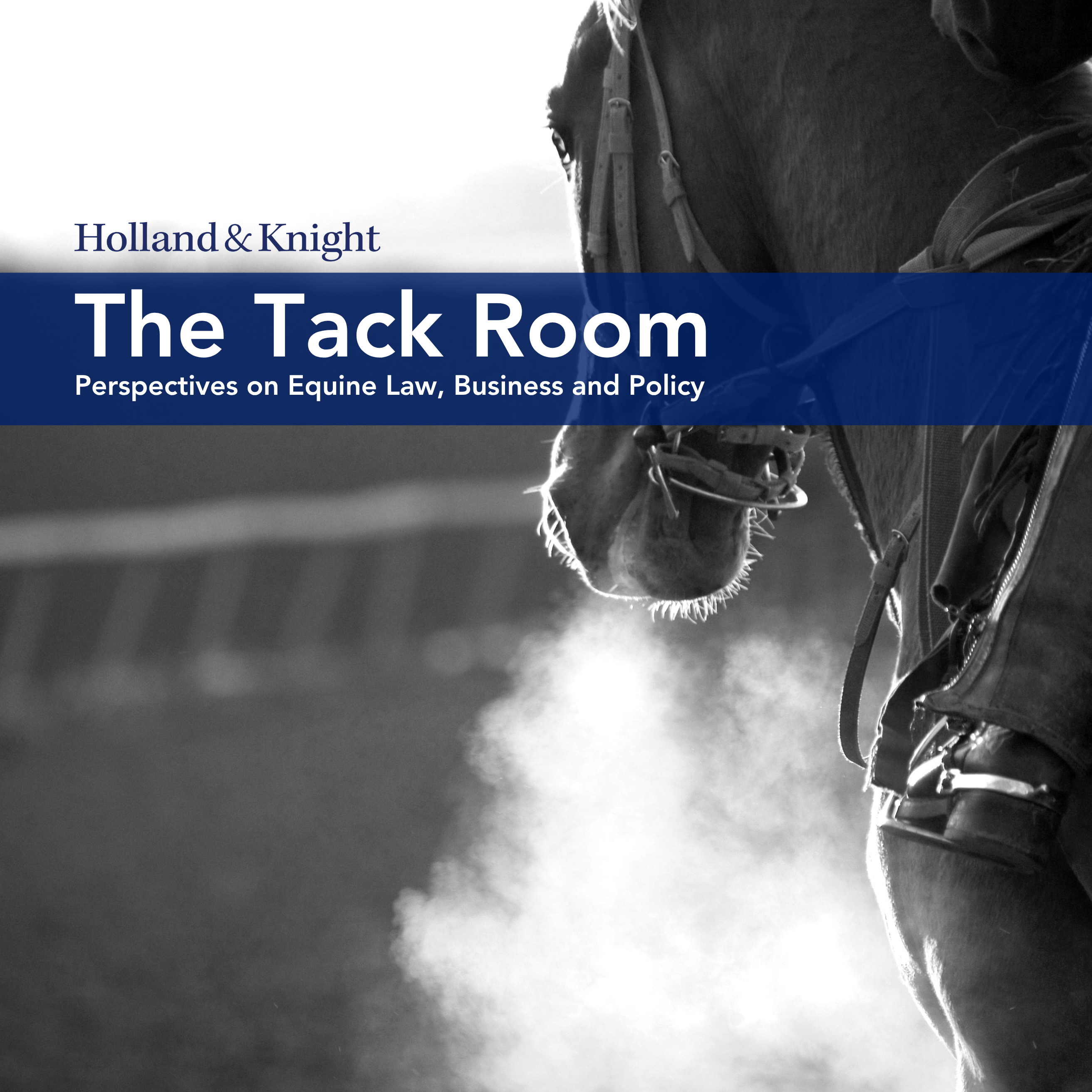 The Tack Room: Perspectives on Equine Law, Business and Policy