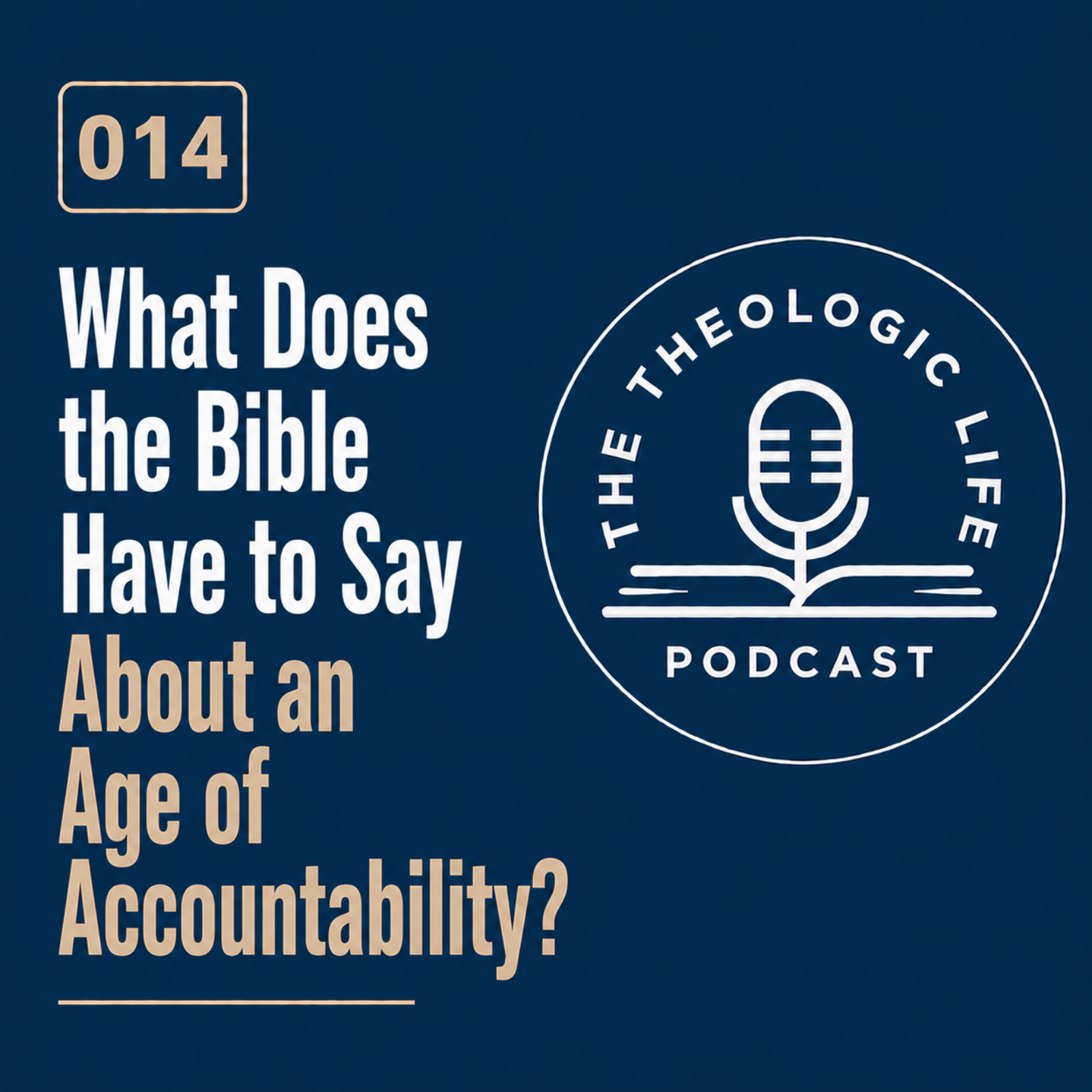 What Does the Bible Have to Say About an Age of Accountability? episode artwork