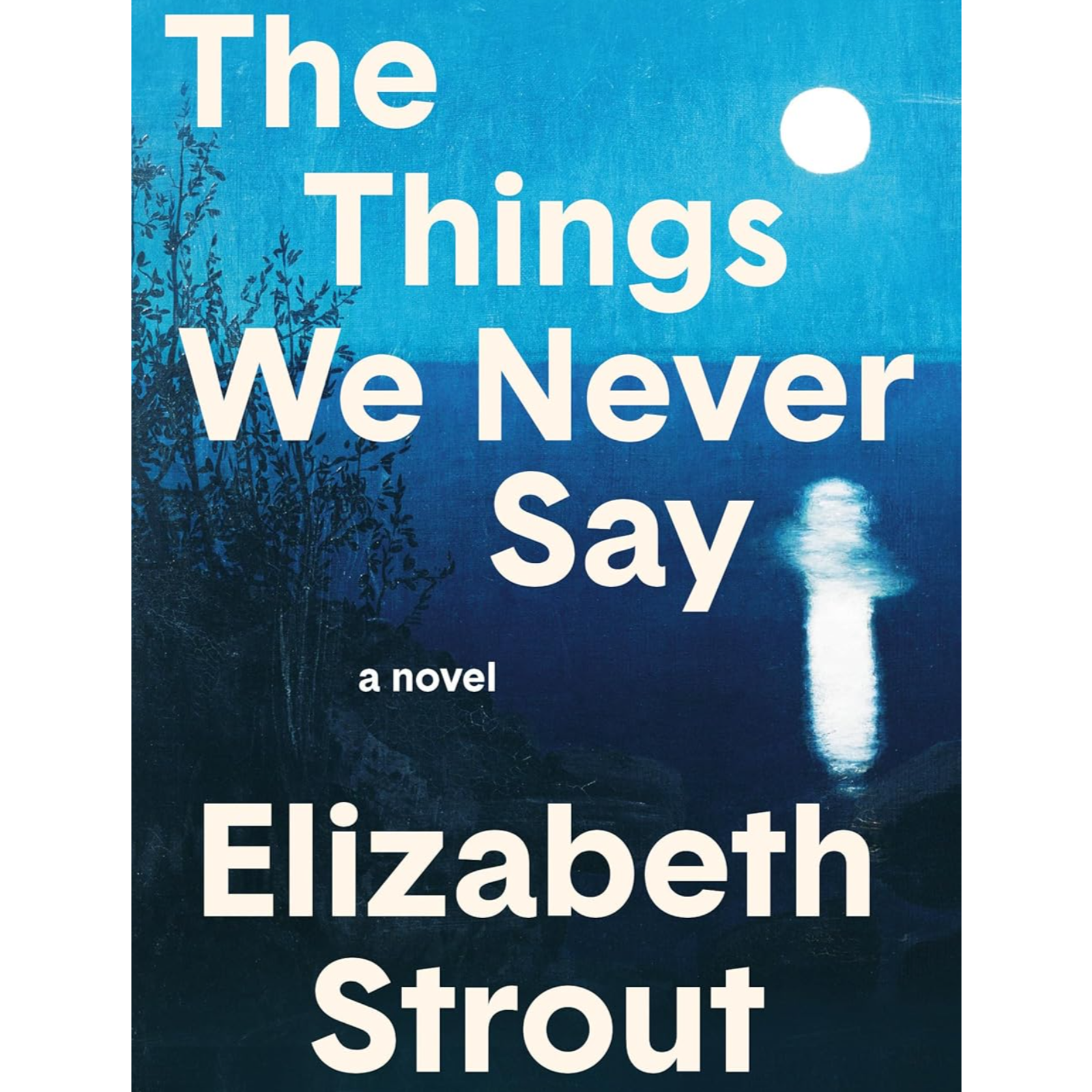 The Things We Never Say: A Novel by Elizabeth Strout, Book Summary, Podcast, English episode artwork