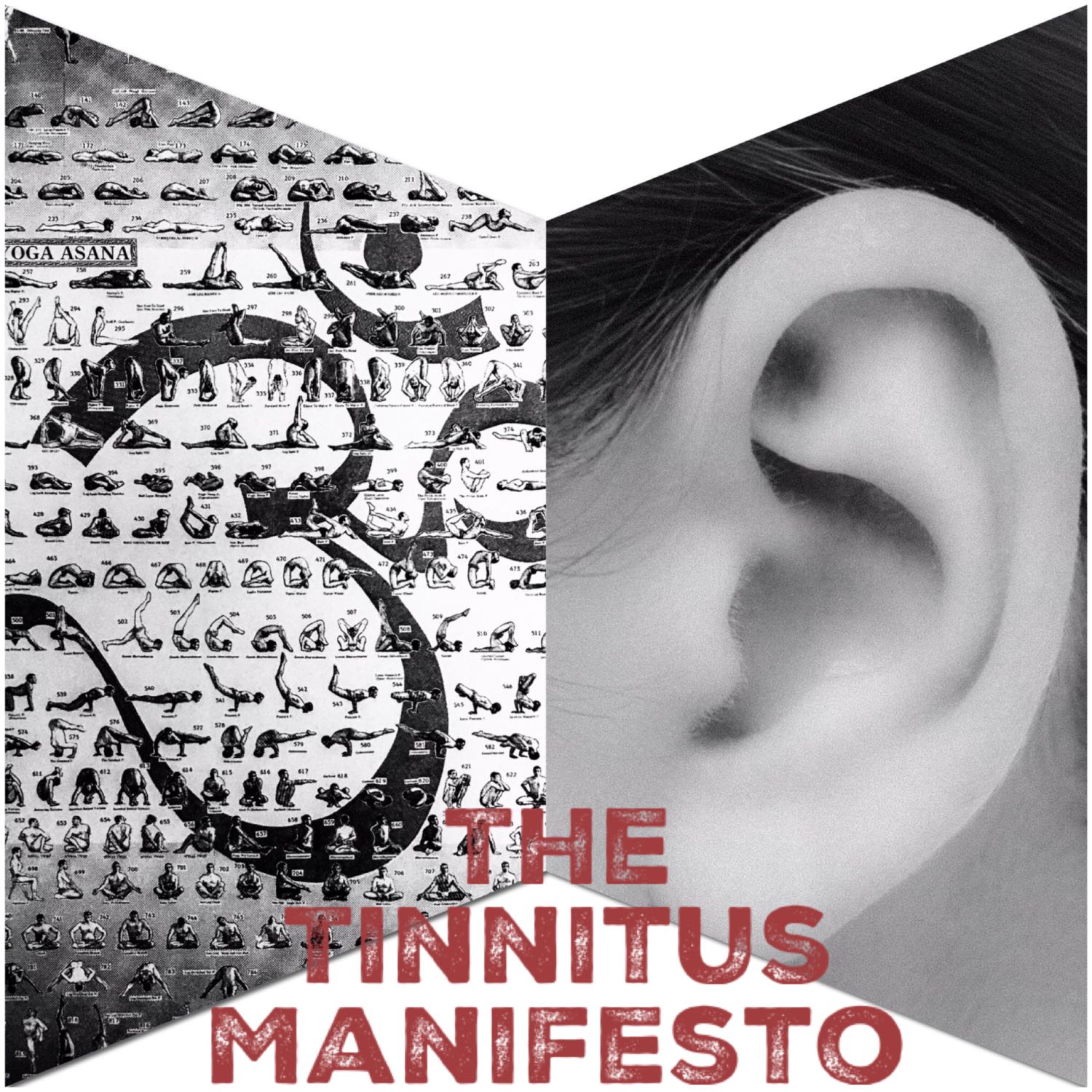 The Tinnitus Manifesto Podcast