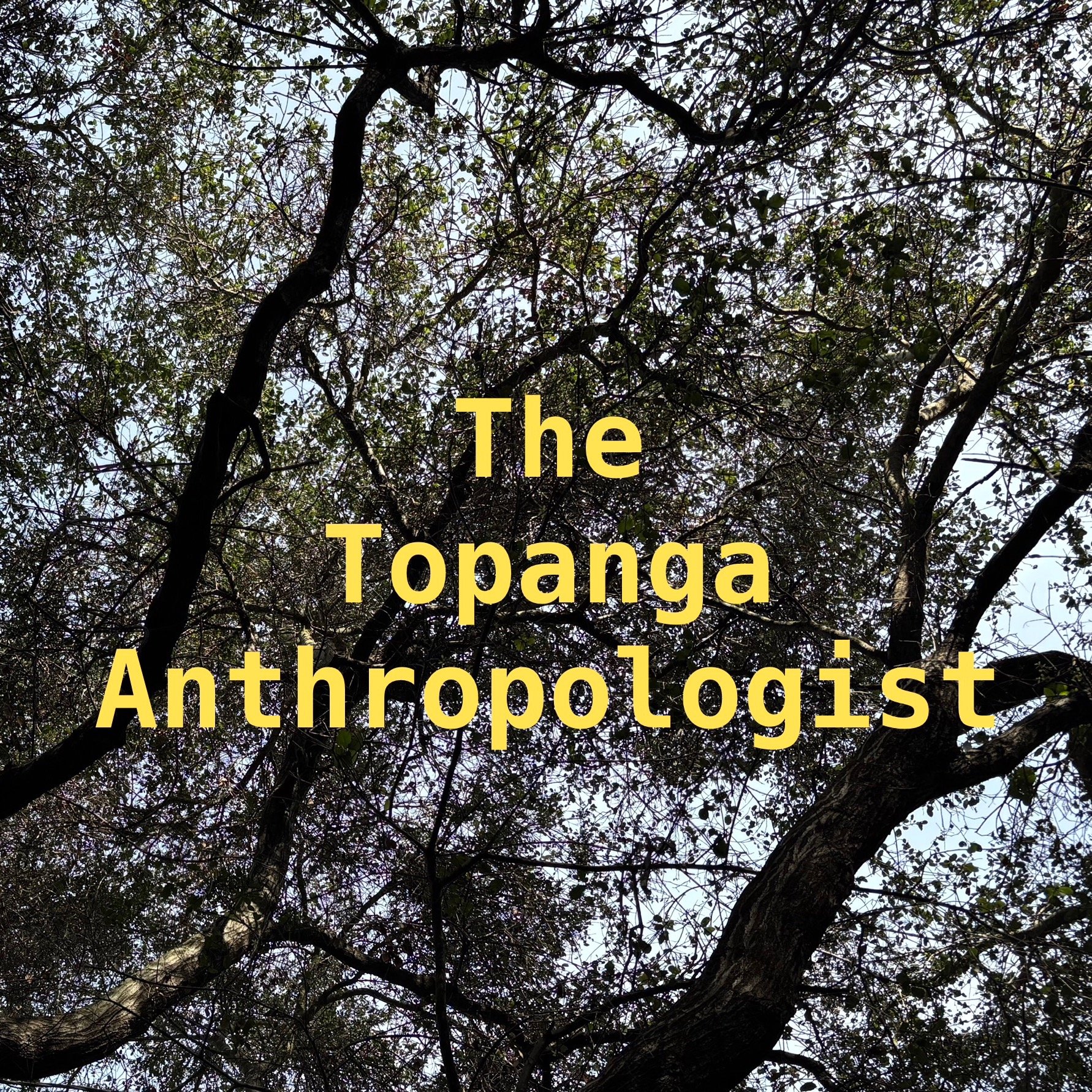 The Topanga Anthropologist cover art