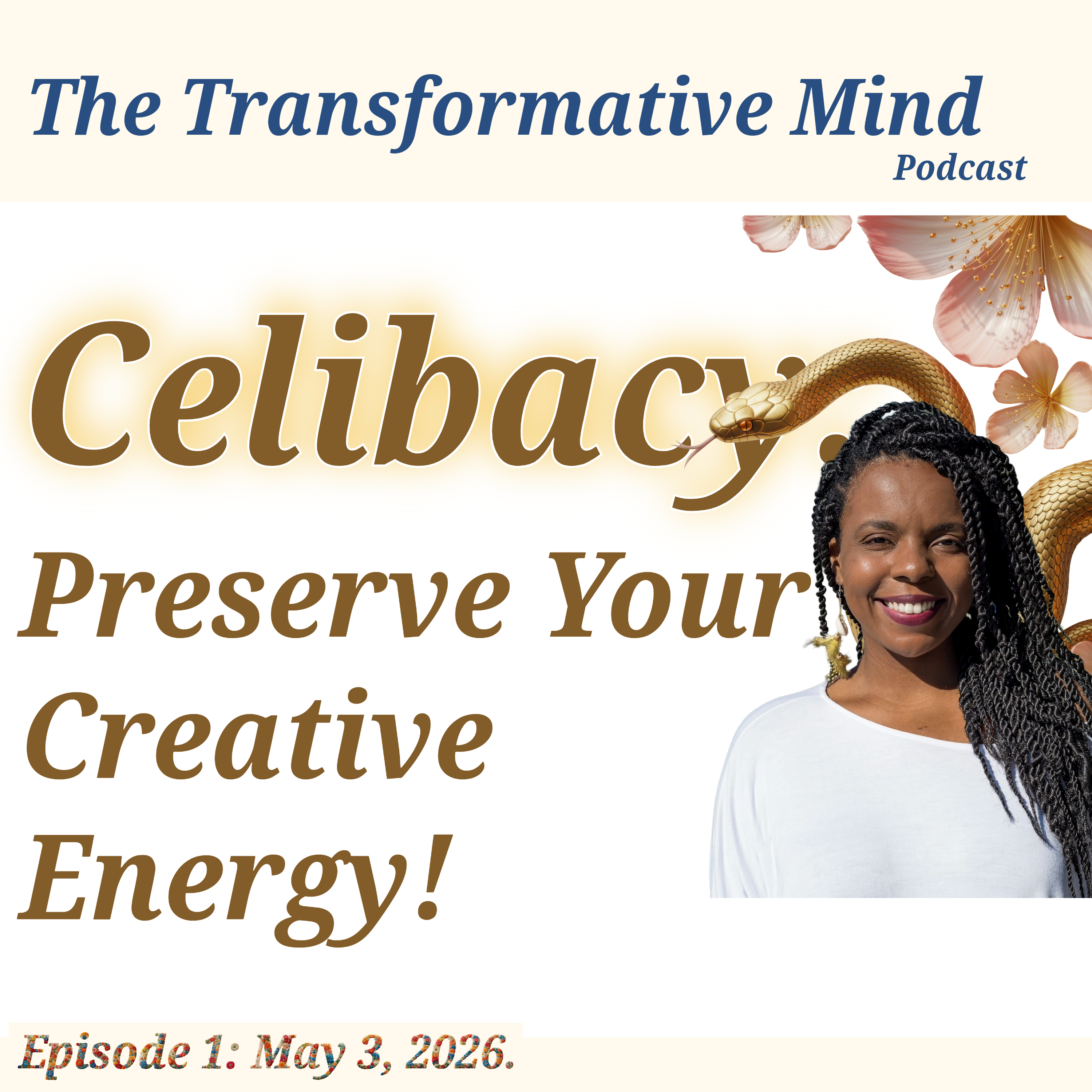 The Power of Celibacy: Turning Sexual Energy Into Creativity & Growth episode artwork