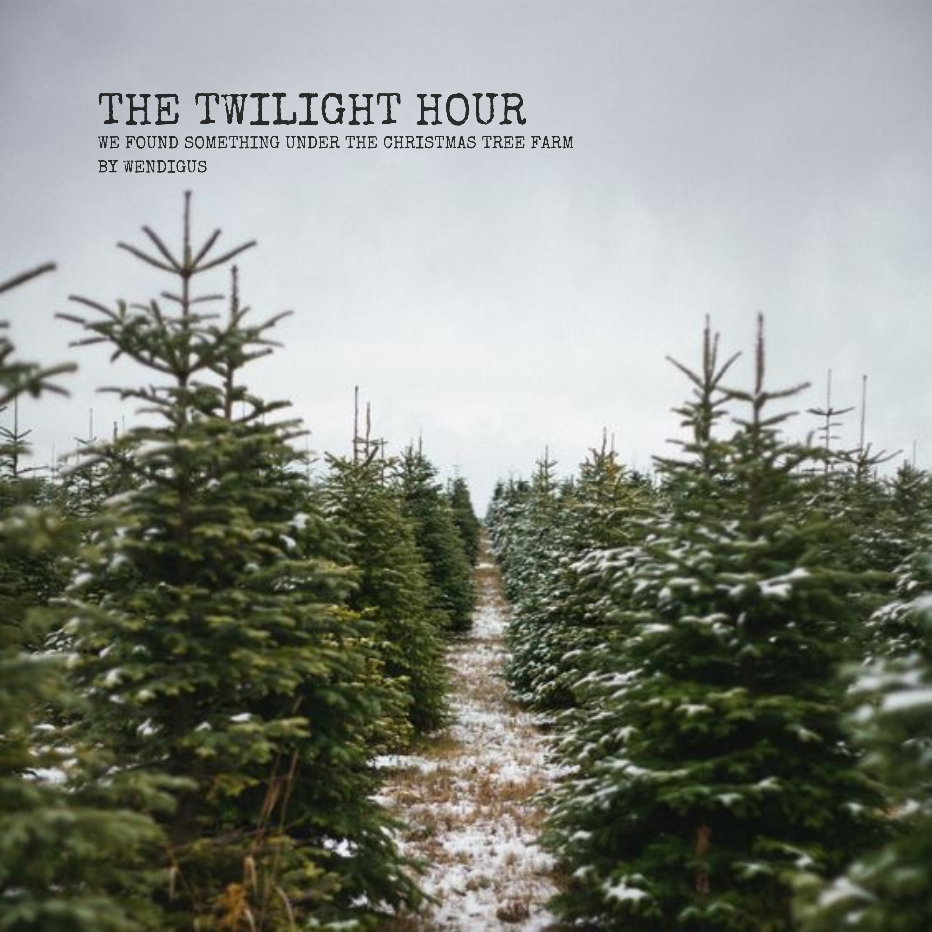 We Found Something Under the Christmas Tree Farm | Story by Kel Byron | The Twilight Hour episode artwork