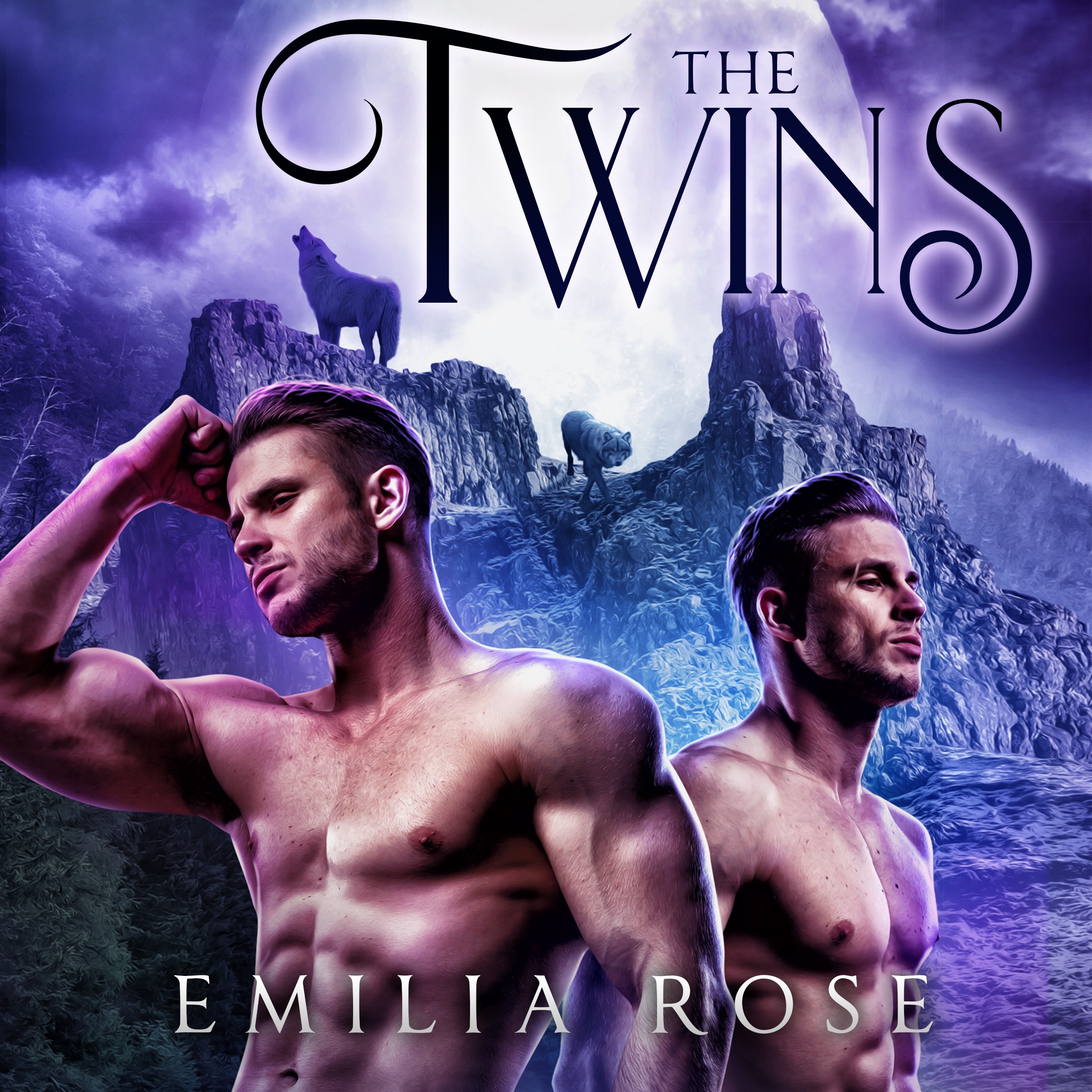 The Twins: A Menage Wolf-Shifter Romance cover art