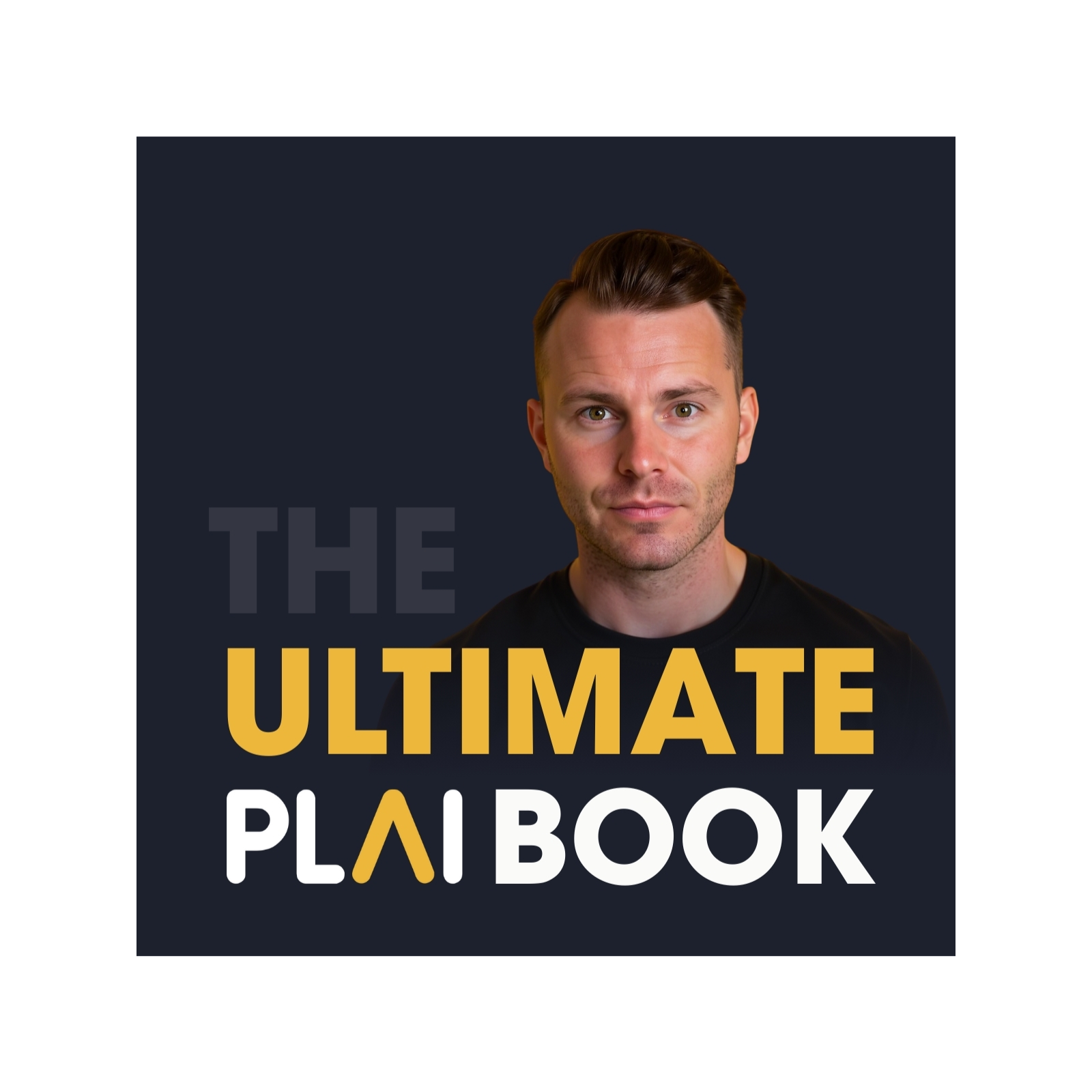 The Ultimate PLAIbook cover art