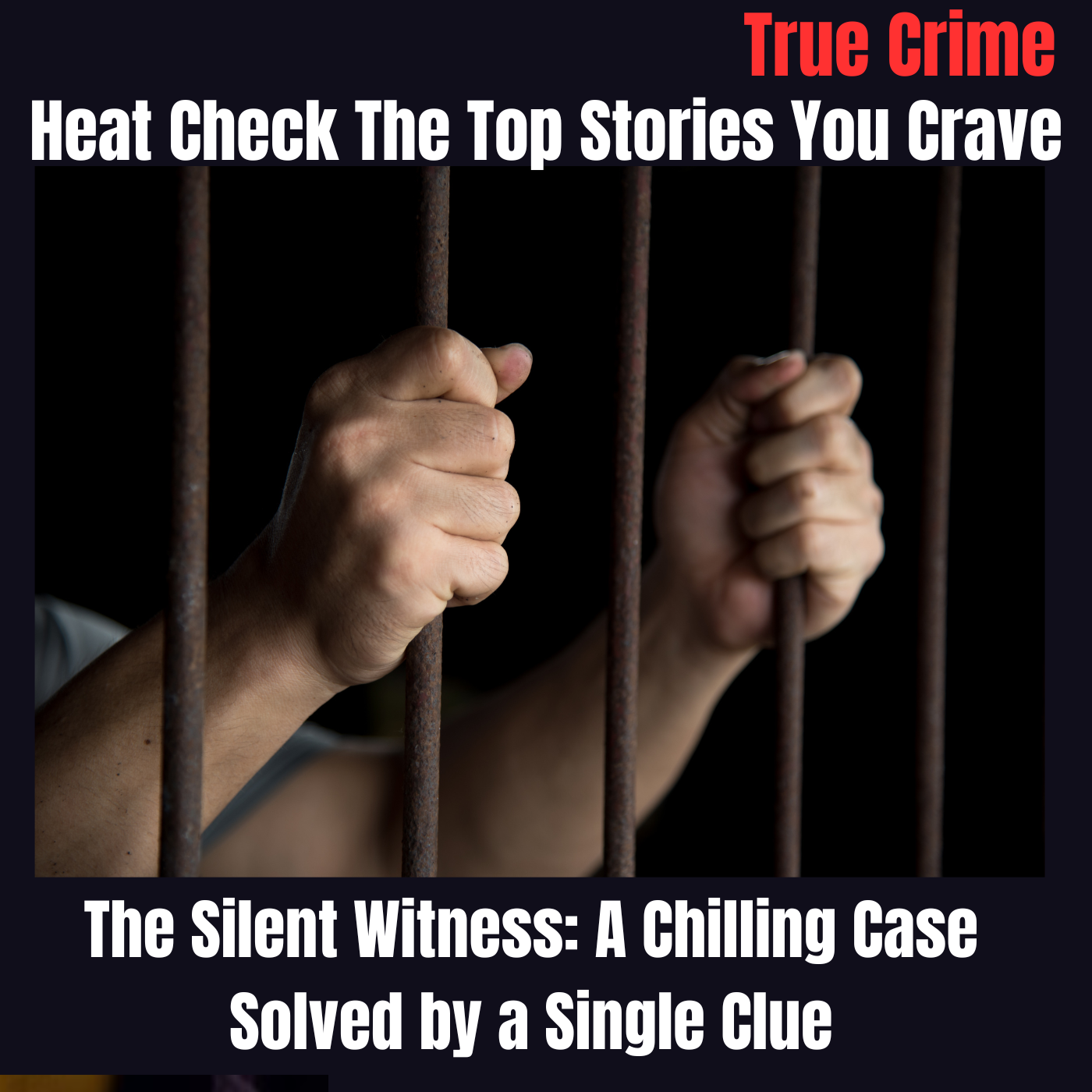 The Silent Witness: A Chilling Case Solved by a Single Clue