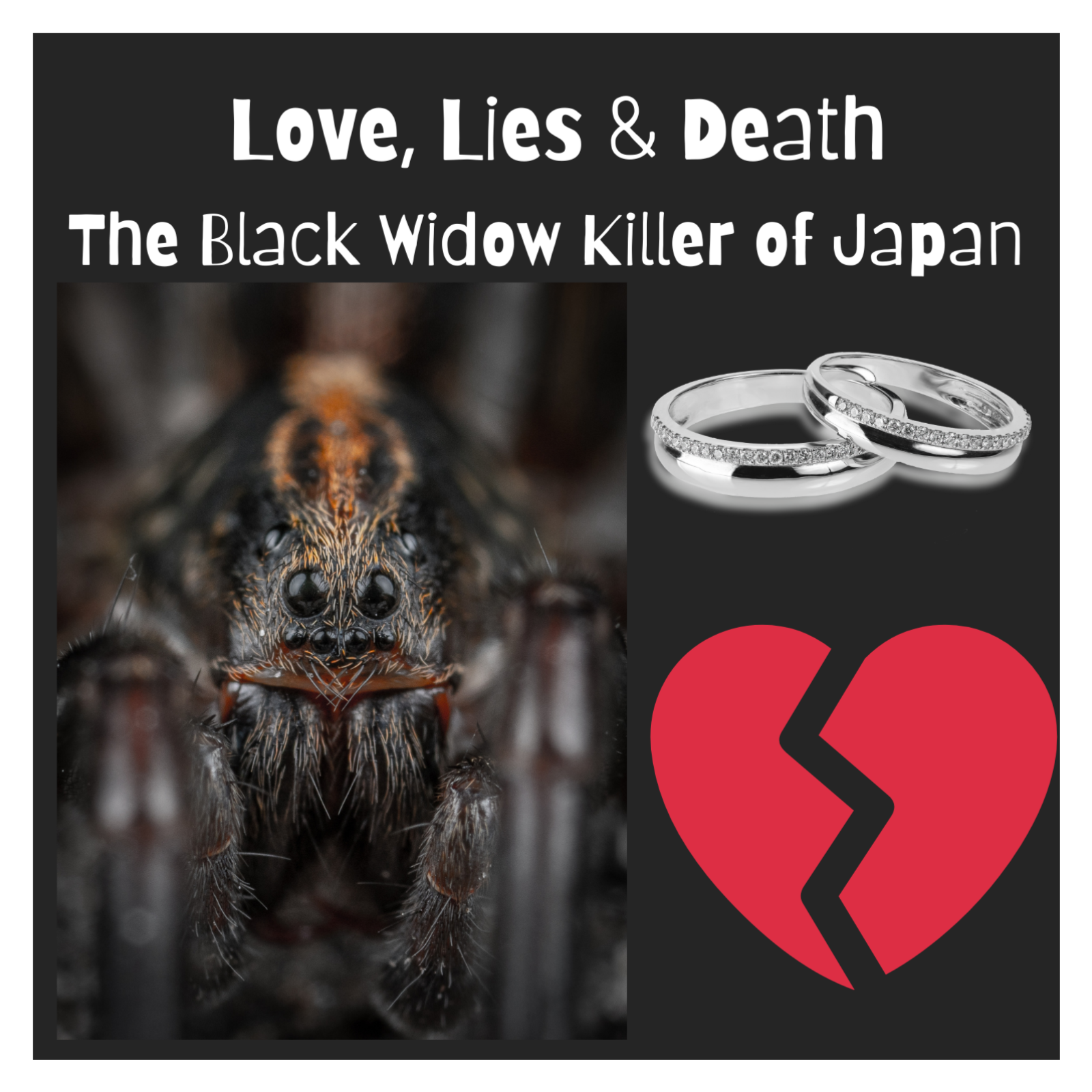 🕷️💔 Love, Lies & Death: The Black Widow Killer of Japan