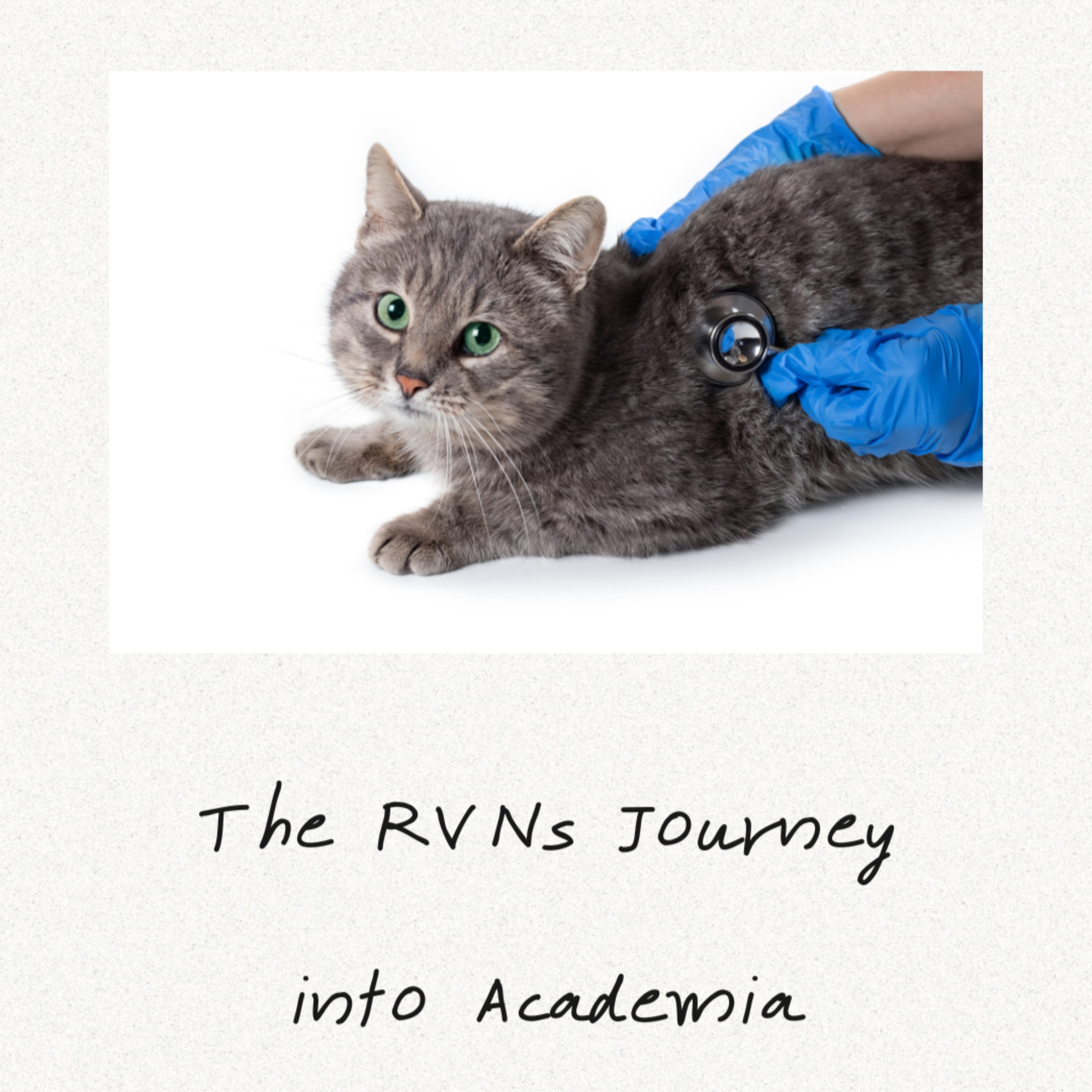 The Veterinary Nurse Journey into Academia