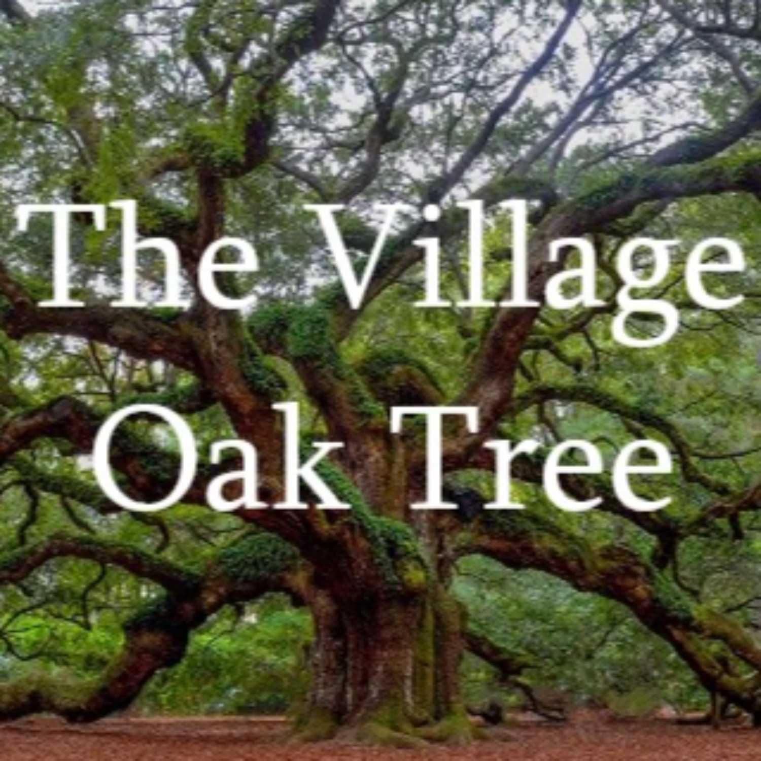 The Village Oak Tree episode artwork