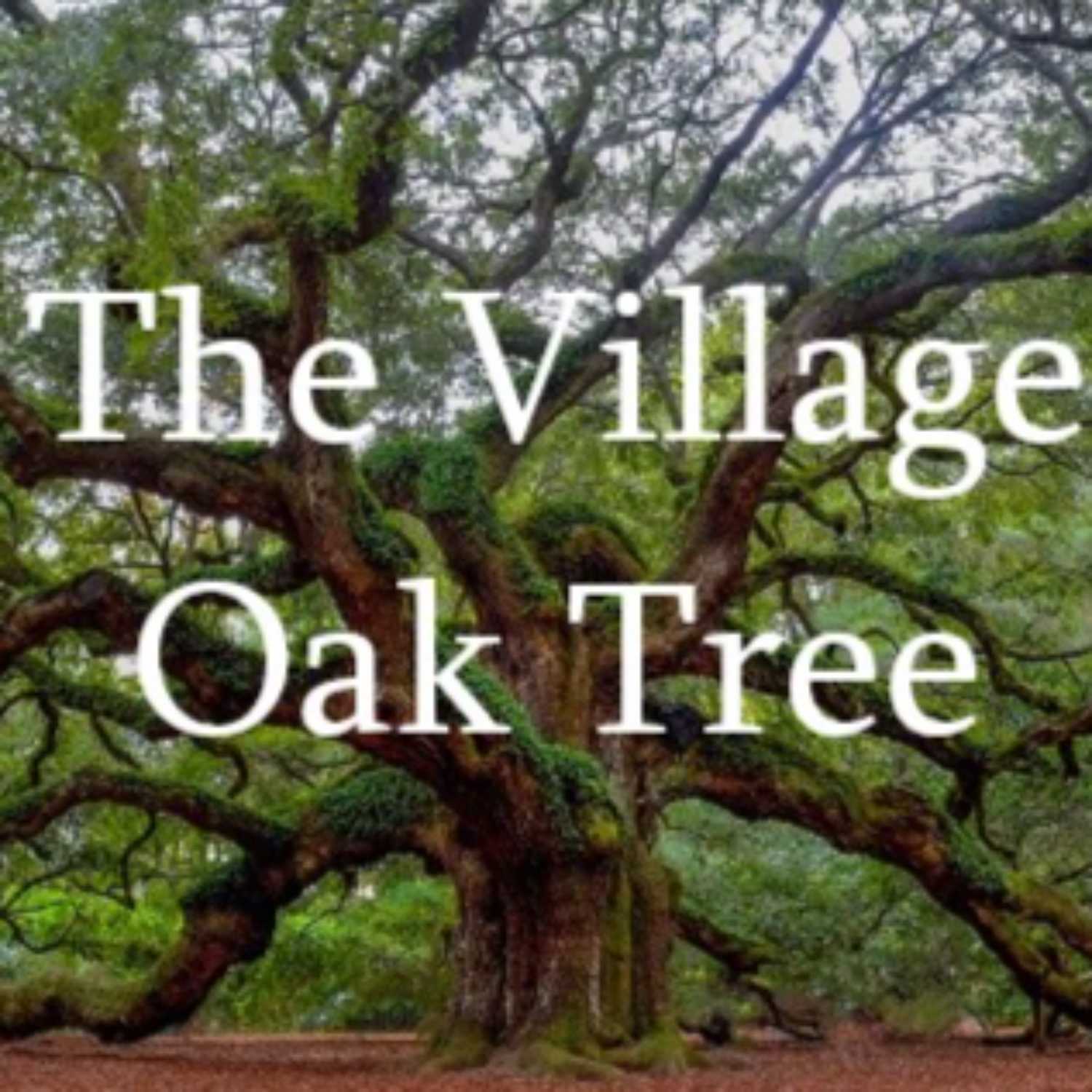 The Village Oak Tree for August 9th, 2023 episode artwork