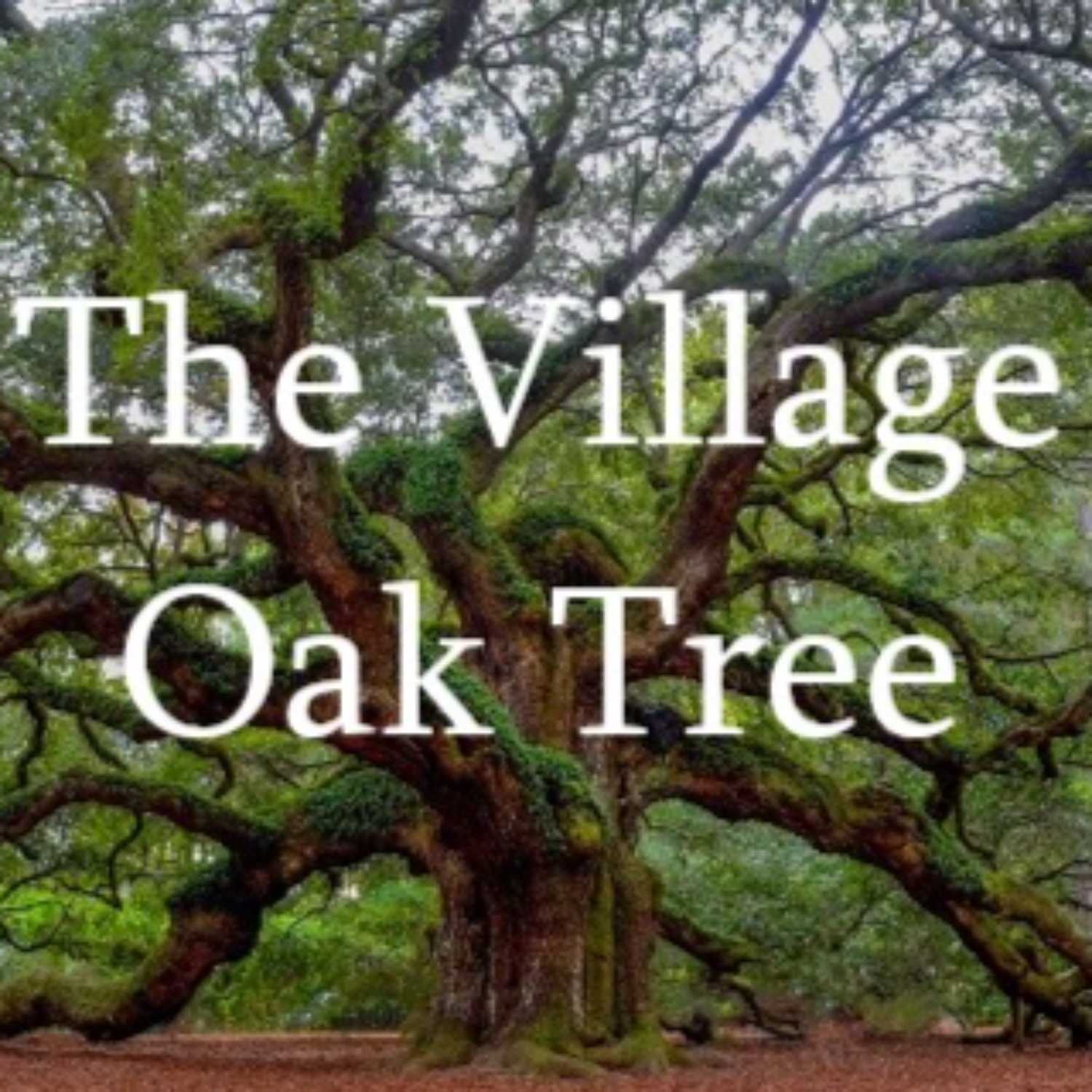The Village Oak Tree for August 16th, 2023 episode artwork