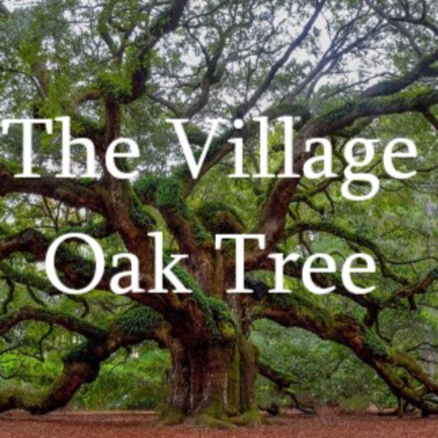 The Village Oak Tree for August 23rd, 2023 episode artwork