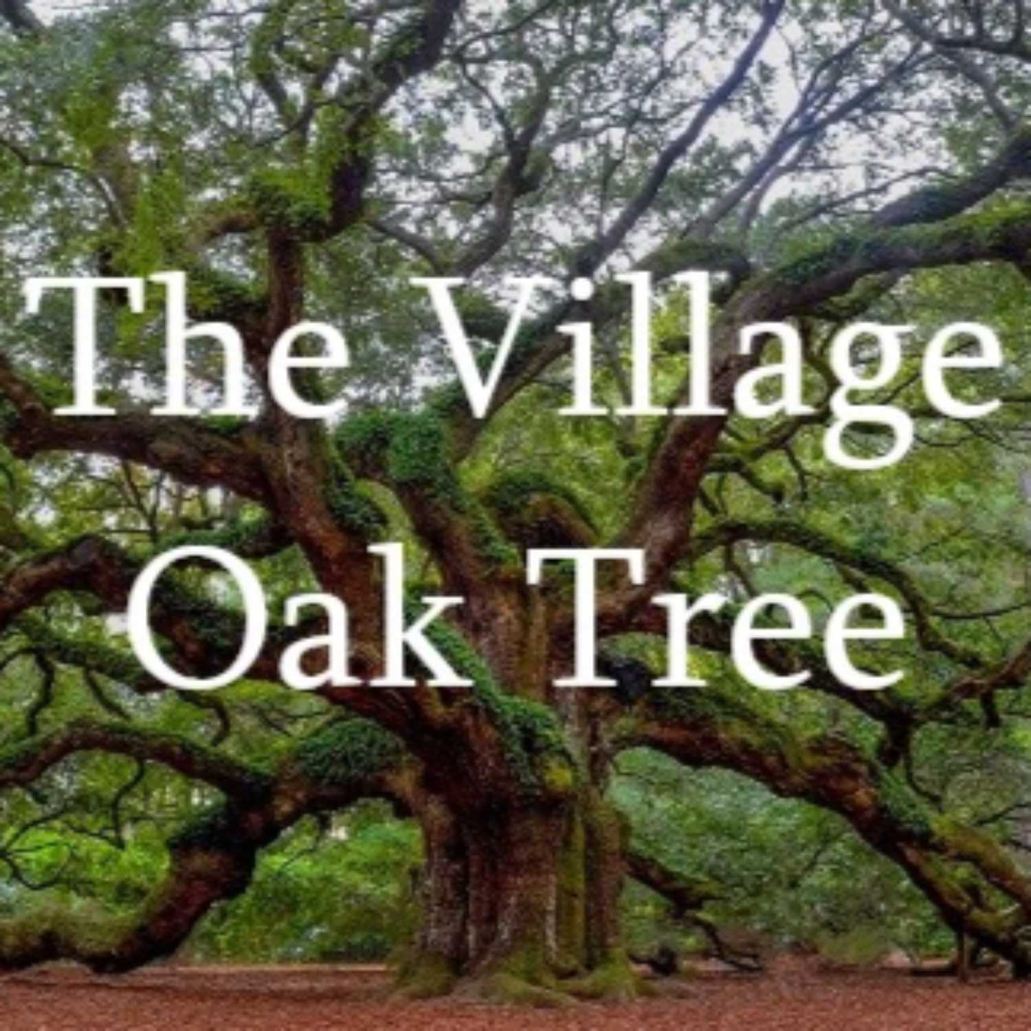 The Village Oak Tree for August 30th, 2023 episode artwork