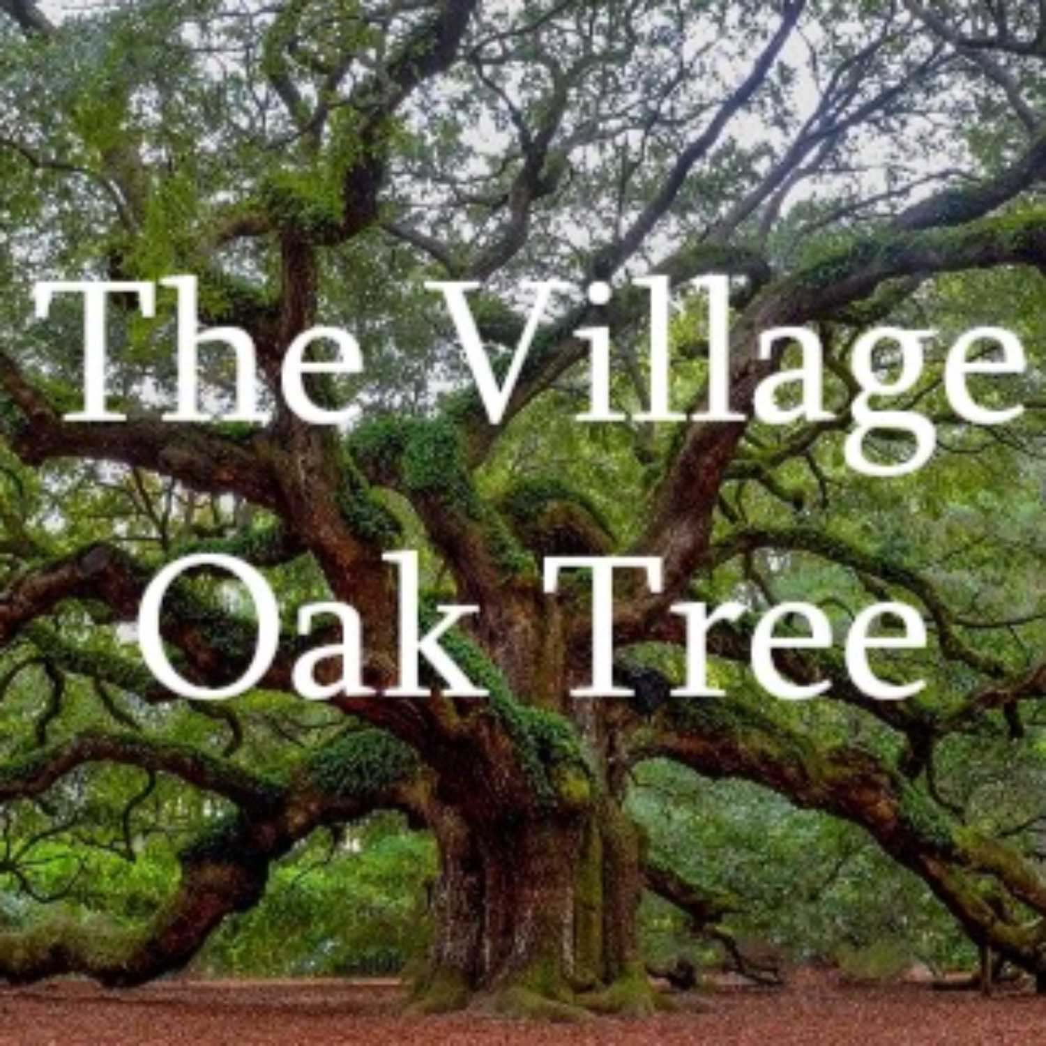 The Village Oak Tree for Sept. 6th, 2023 episode artwork