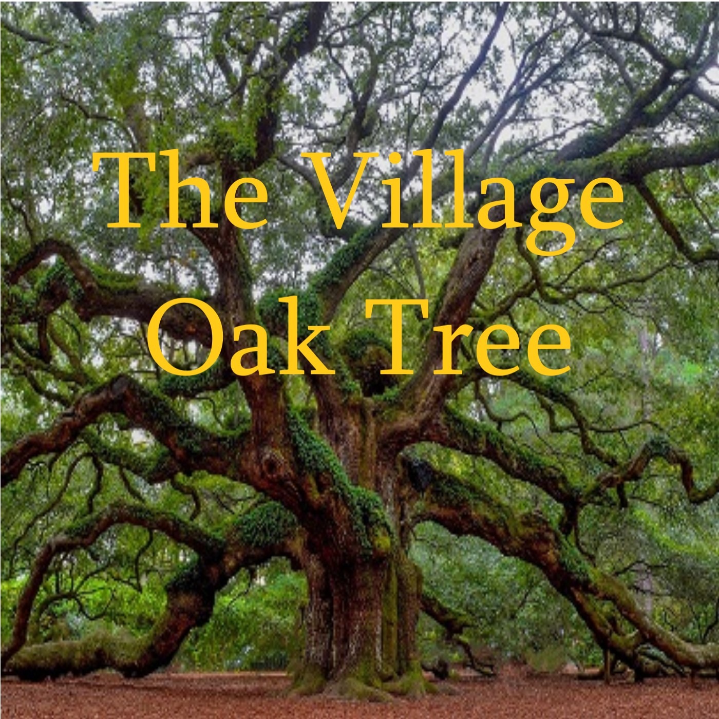 The Village Oak Tree