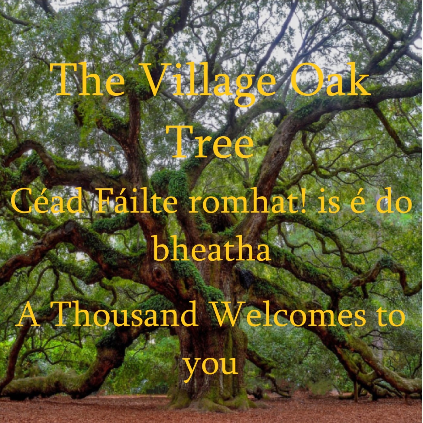 The Village Oak Tree Interview with Russell K. Jack episode artwork