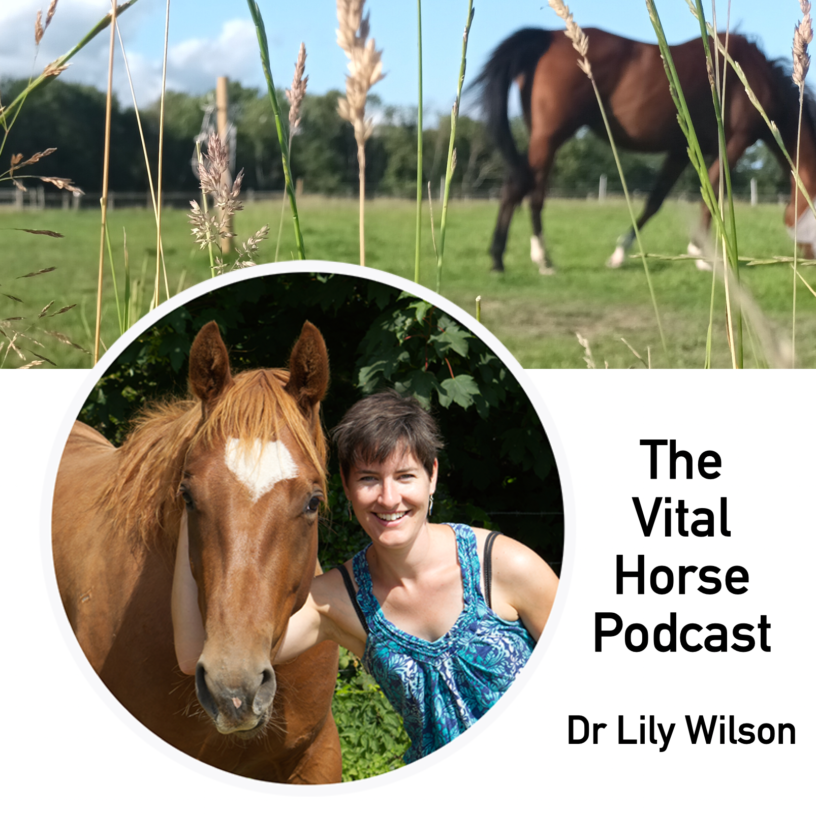 The Vital Horse Podcast: Vital Horses