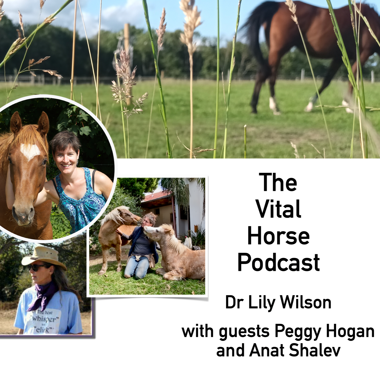 Cooperative care with Peggy Hogan and Anat Shalev episode artwork
