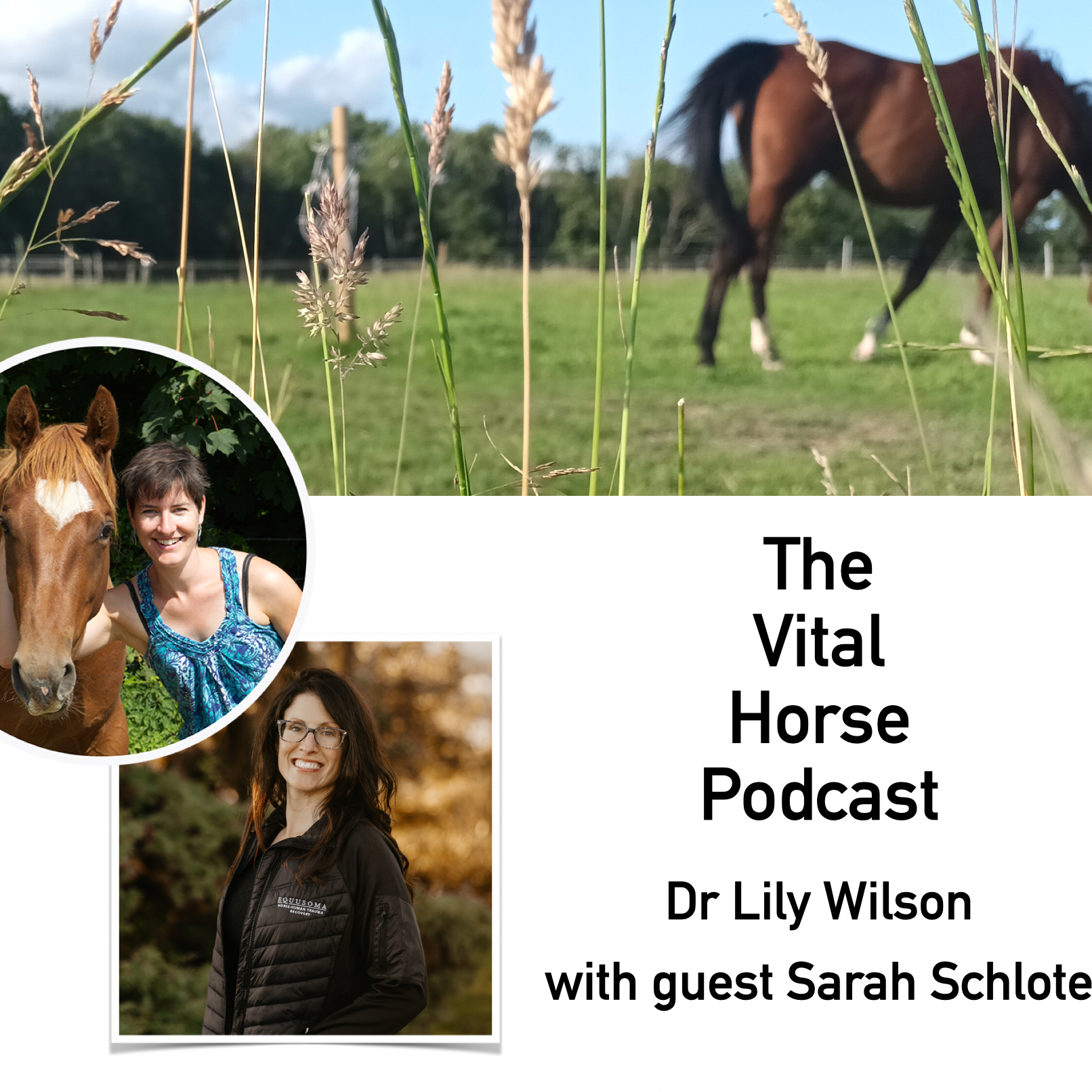 Trauma-informed horse-human partnerships with Sarah Schlote episode artwork