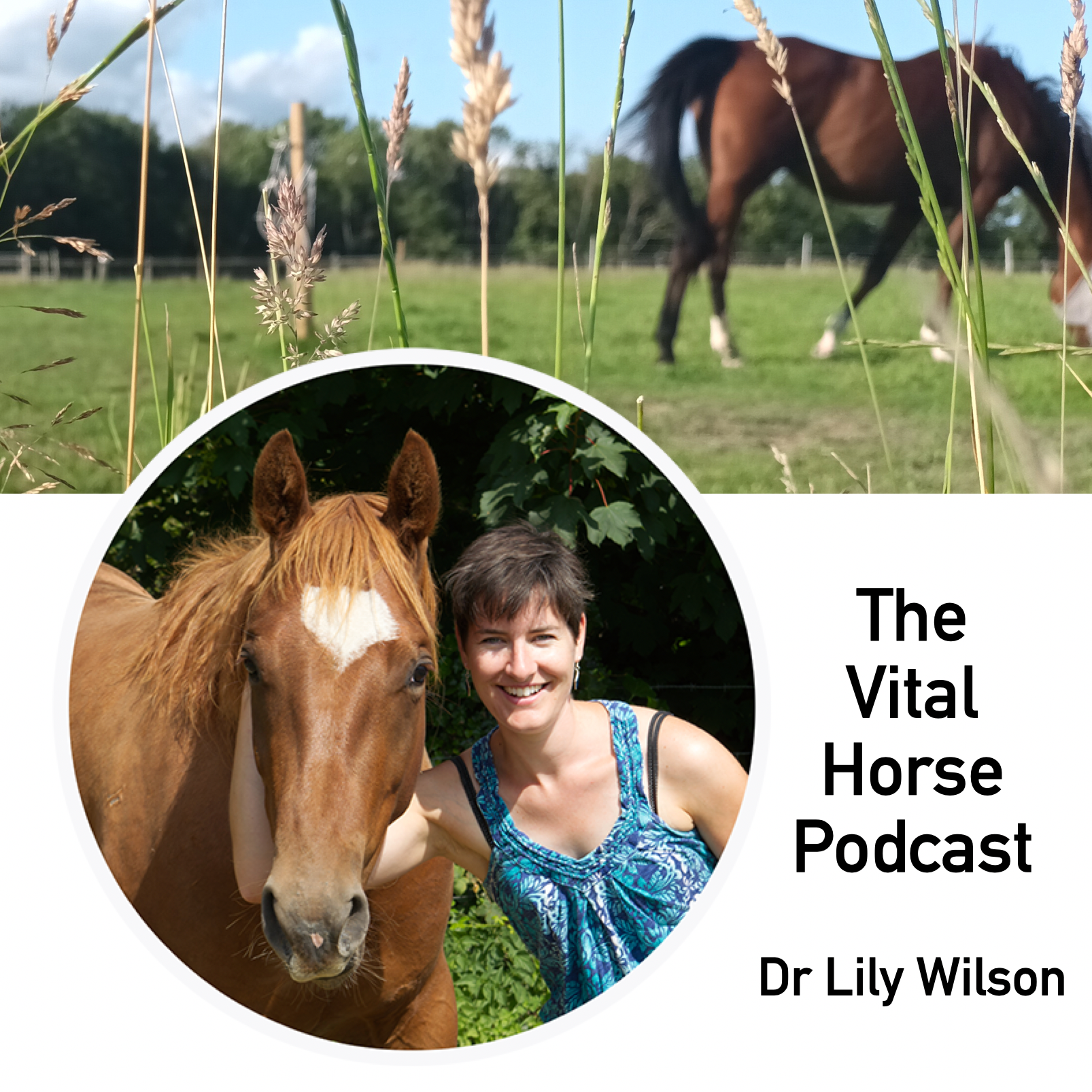 What can our horses tell us?